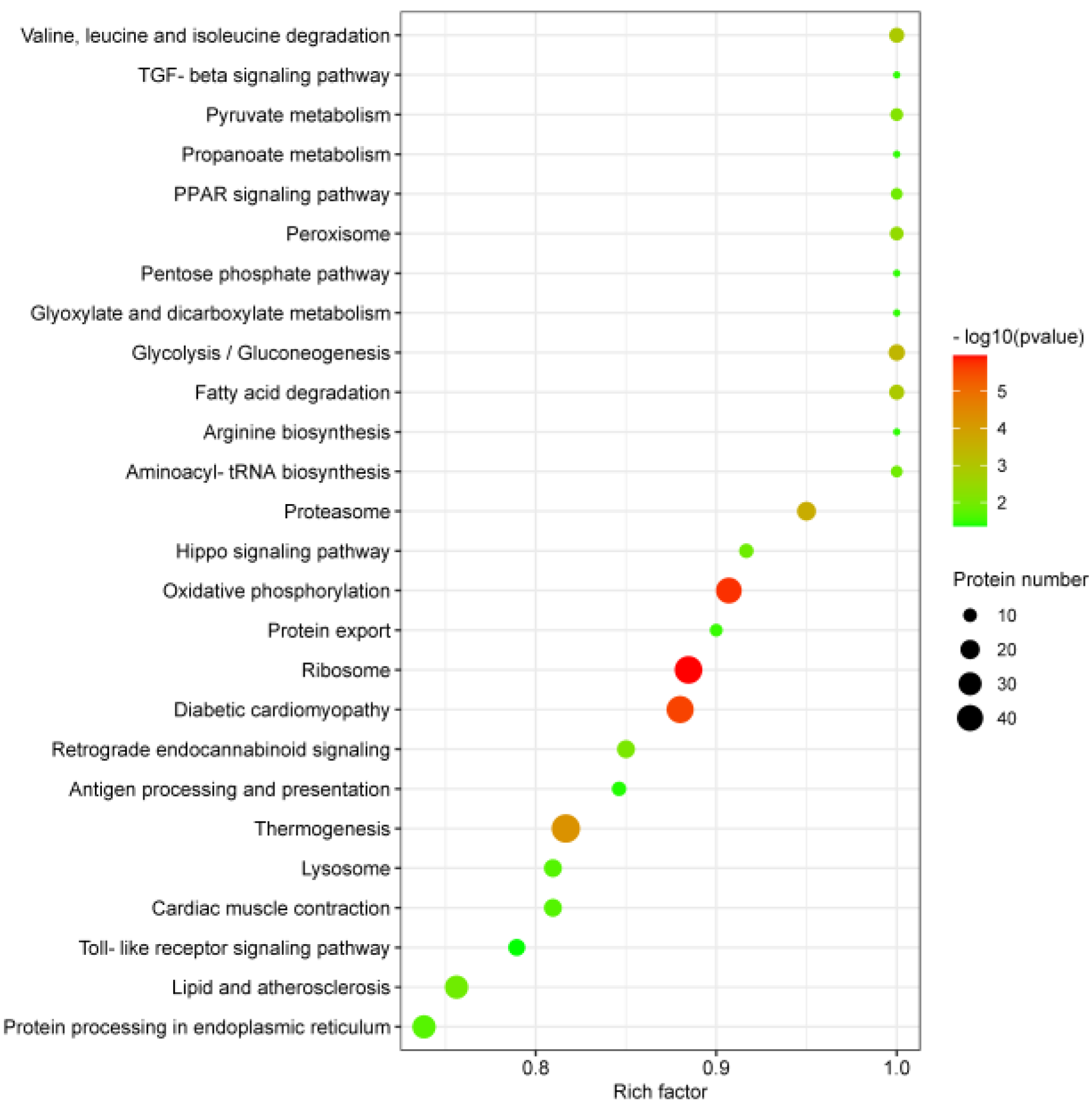 Viruses 15 00036 g005 Viruses 15 00036 g005