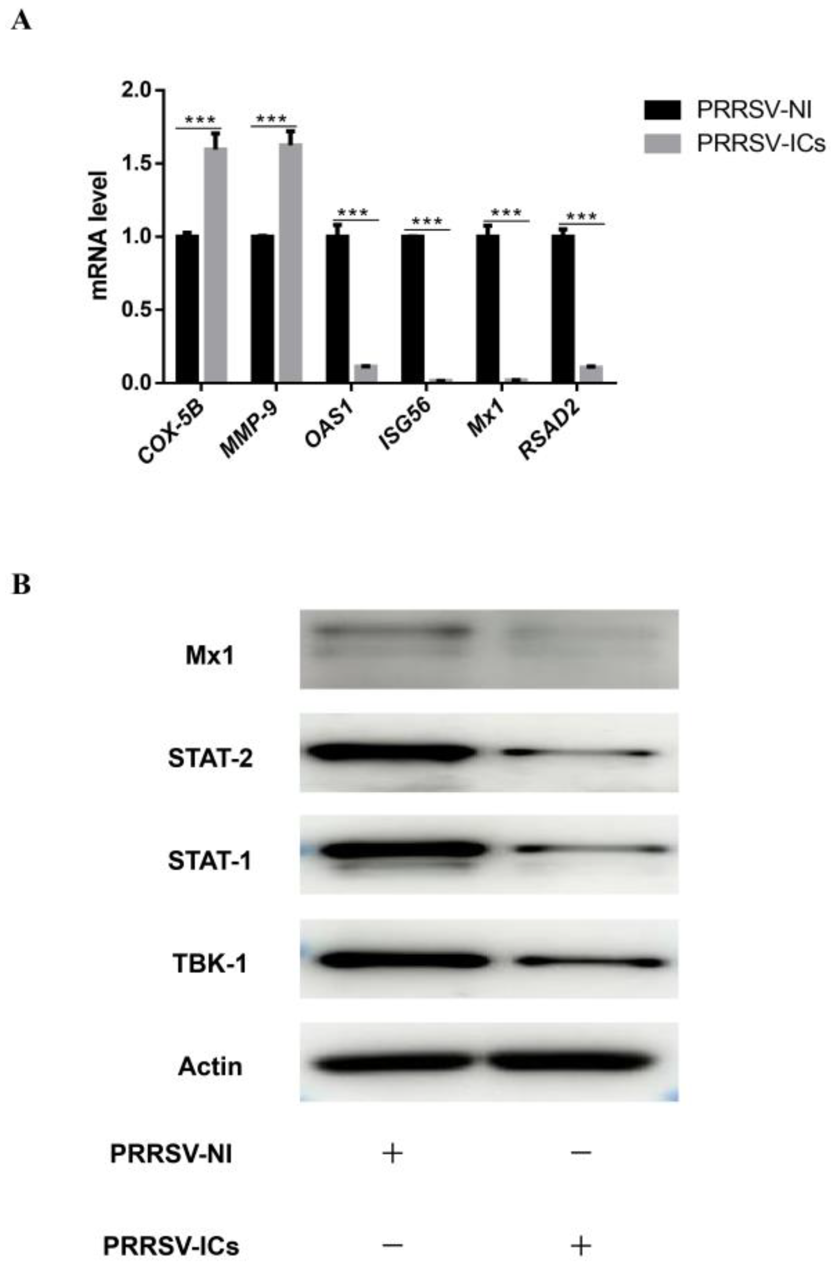 Viruses 15 00036 g007 Viruses 15 00036 g007