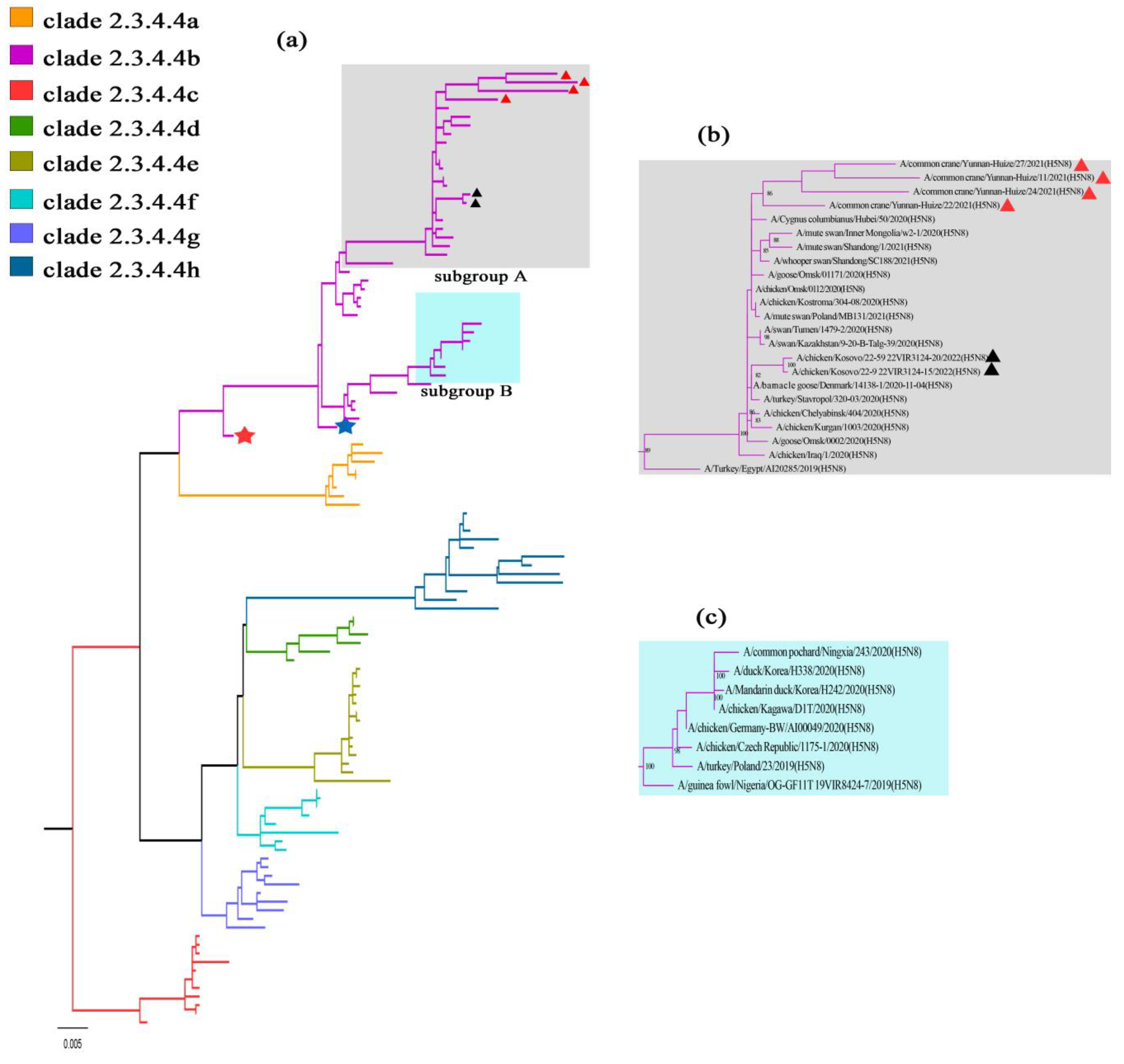 Viruses 15 00038 g002 Viruses 15 00038 g002
