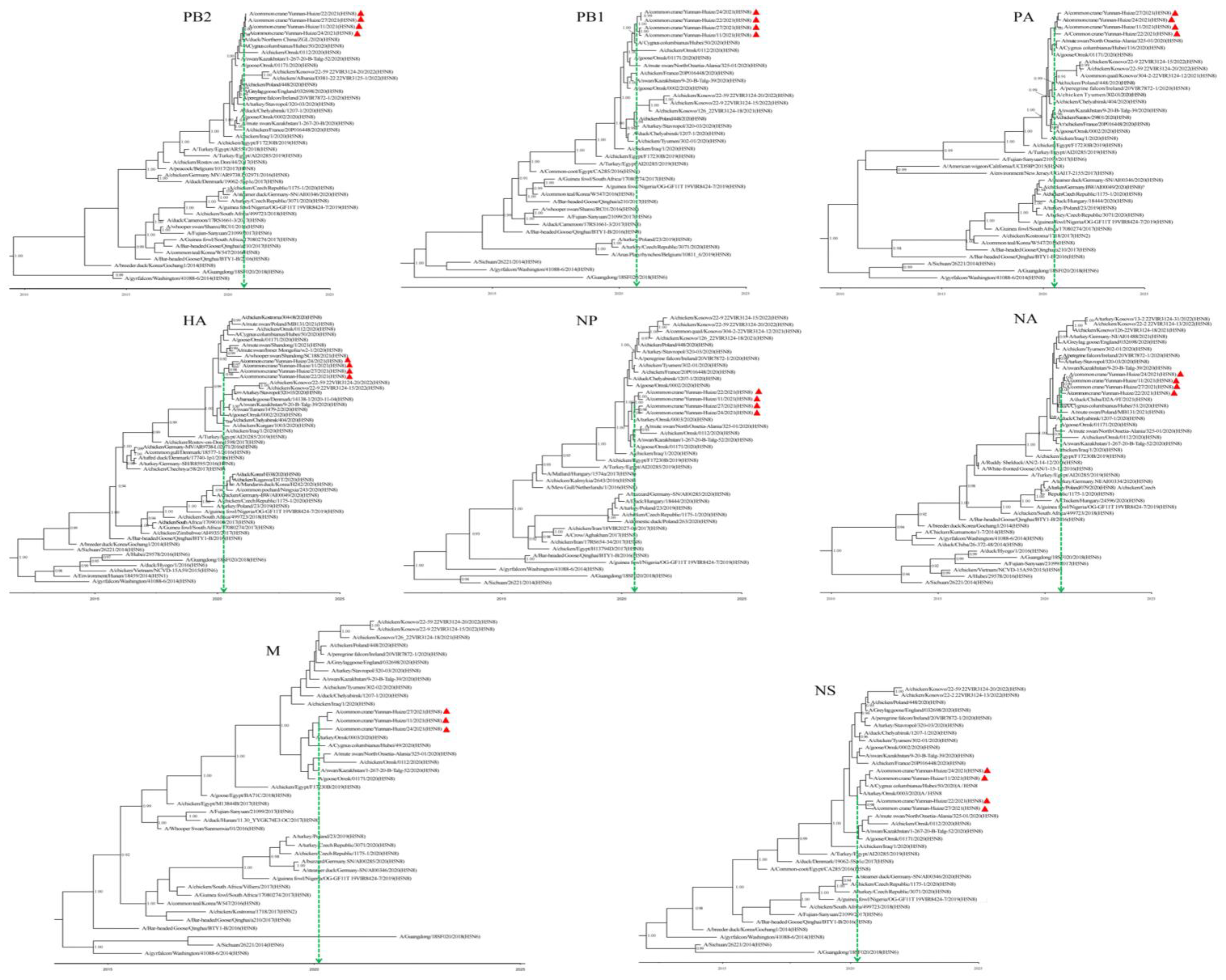 Viruses 15 00038 g003 Viruses 15 00038 g003