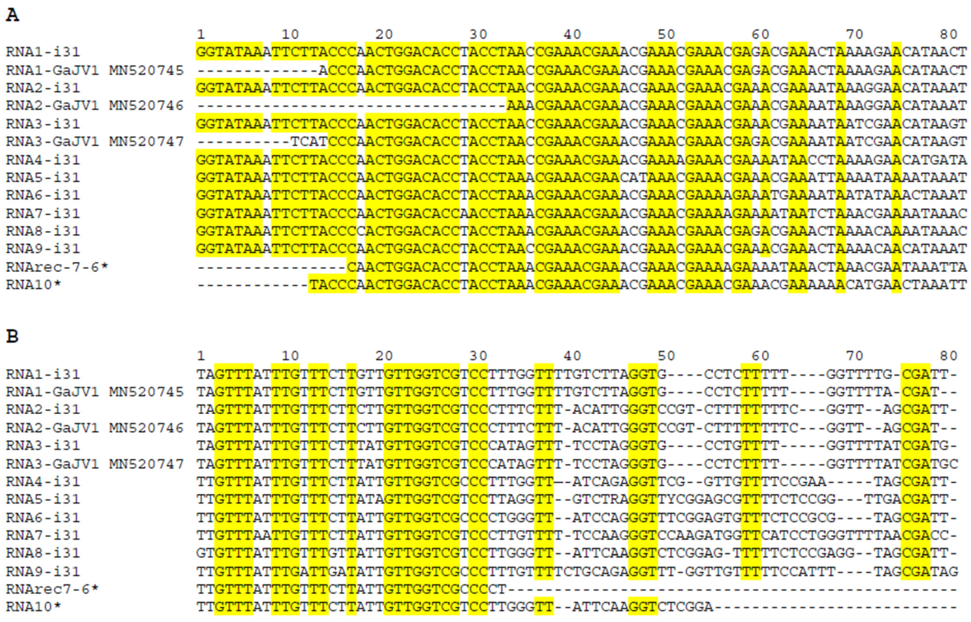 Viruses 15 00039 g001