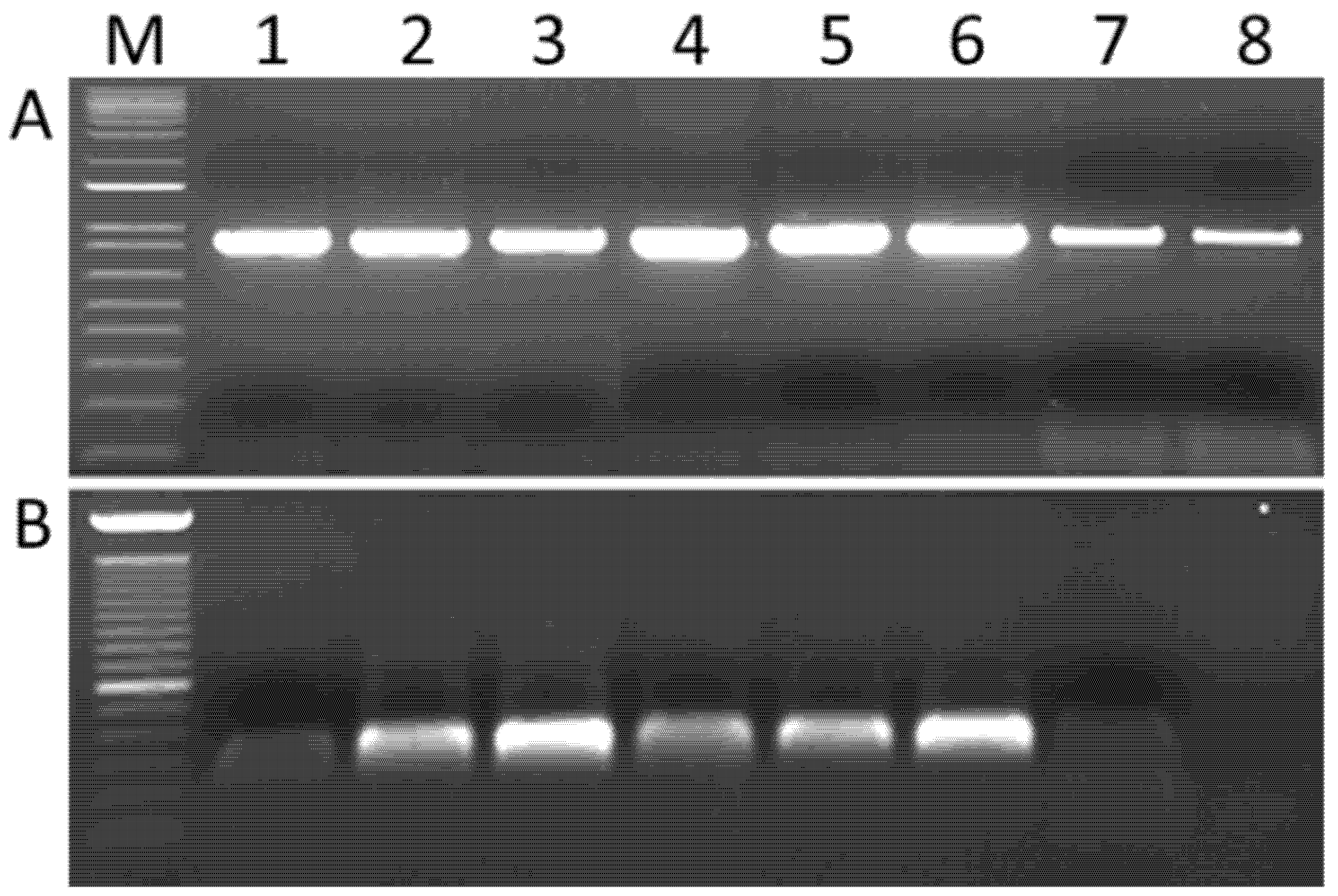 Viruses 15 00039 g002