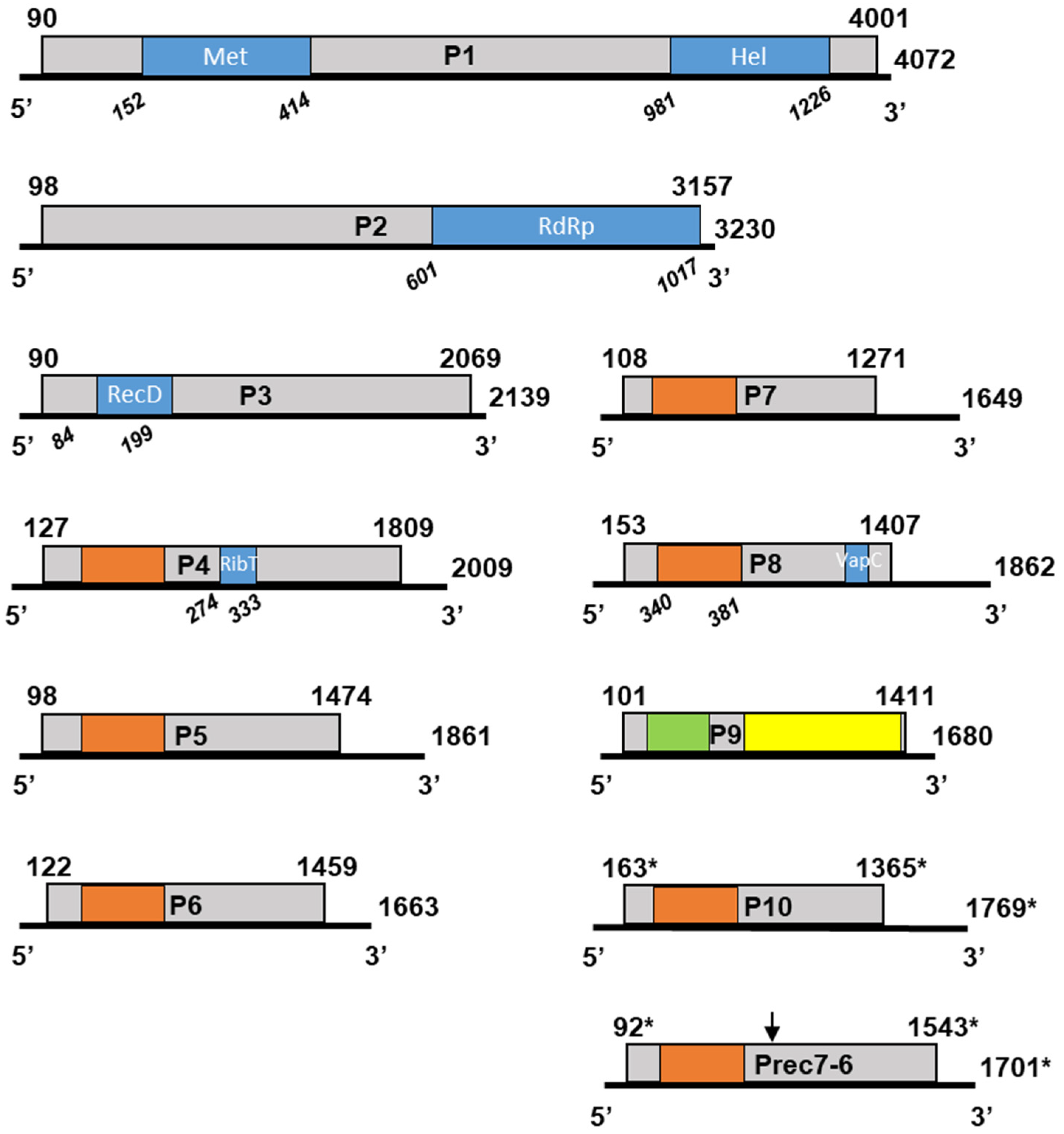 Viruses 15 00039 g003