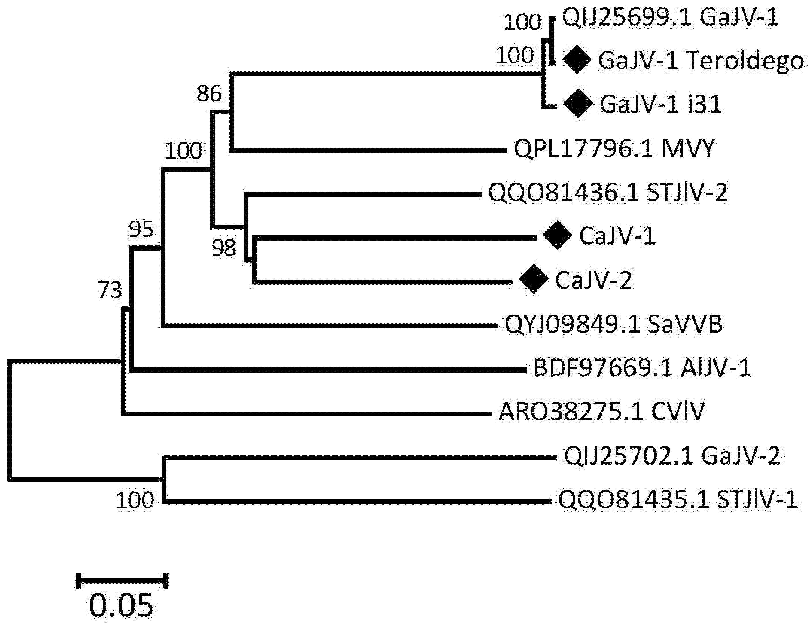 Viruses 15 00039 g005