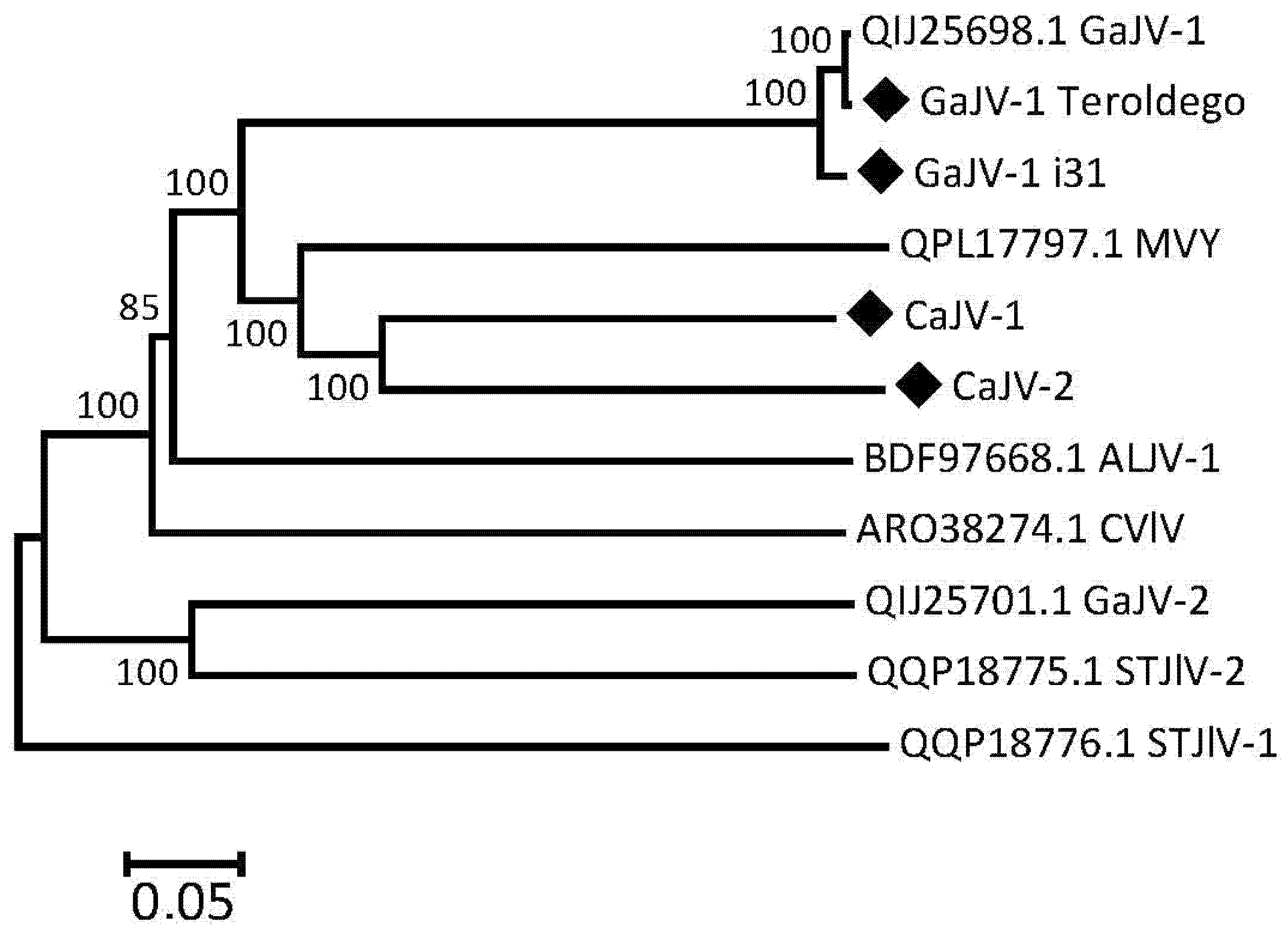 Viruses 15 00039 g006