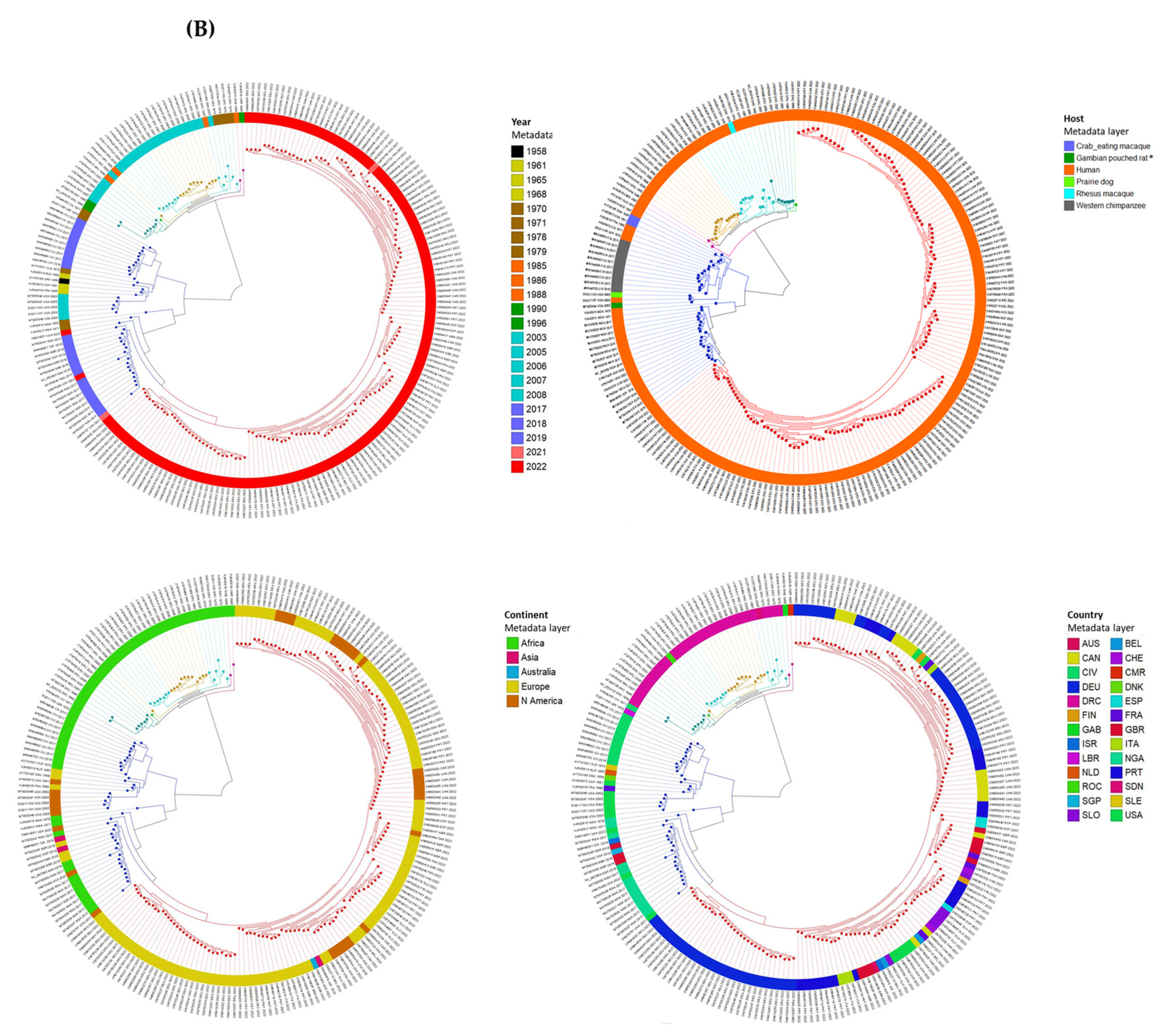 Viruses 15 00040 g004b