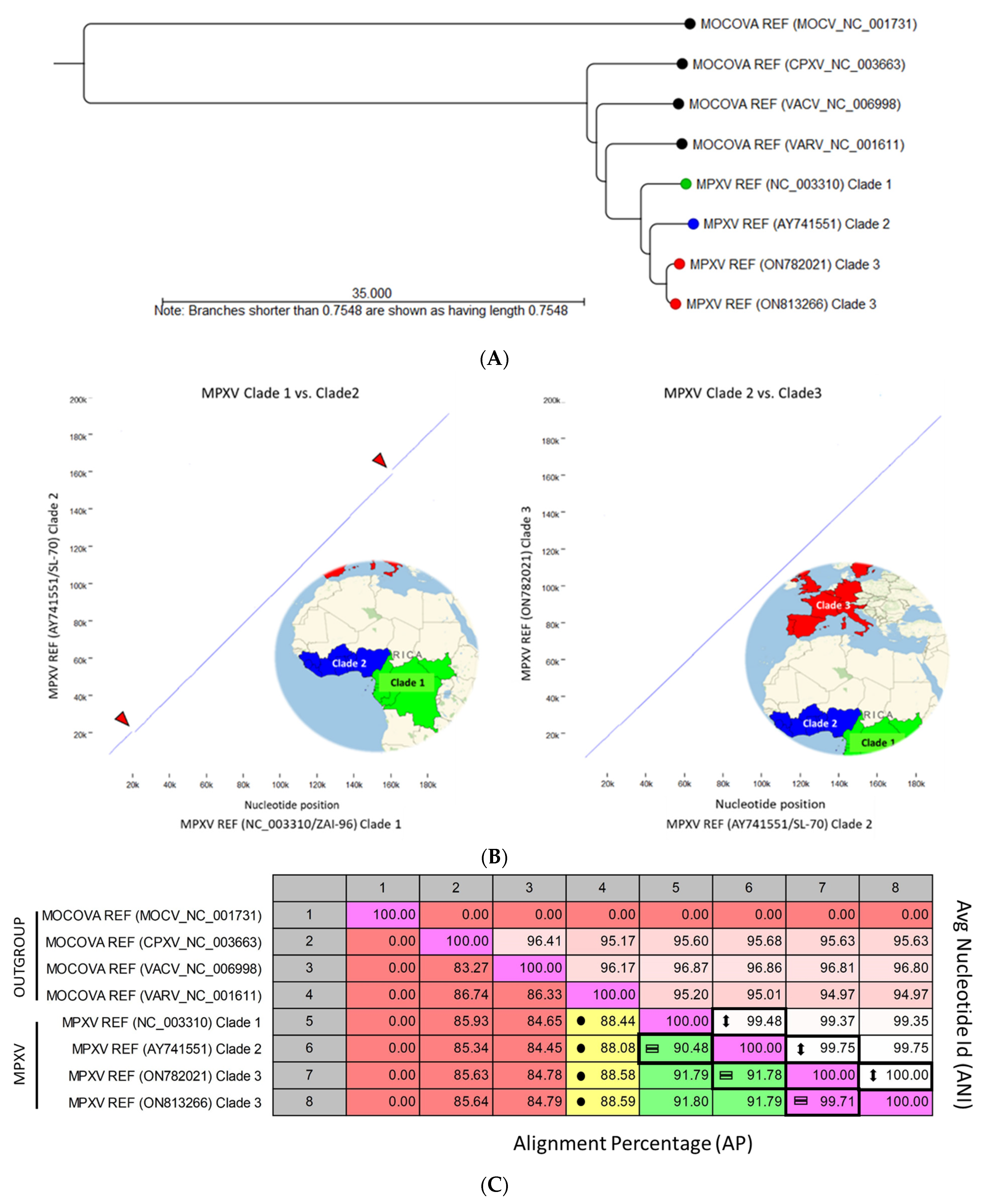 Viruses 15 00040 g005