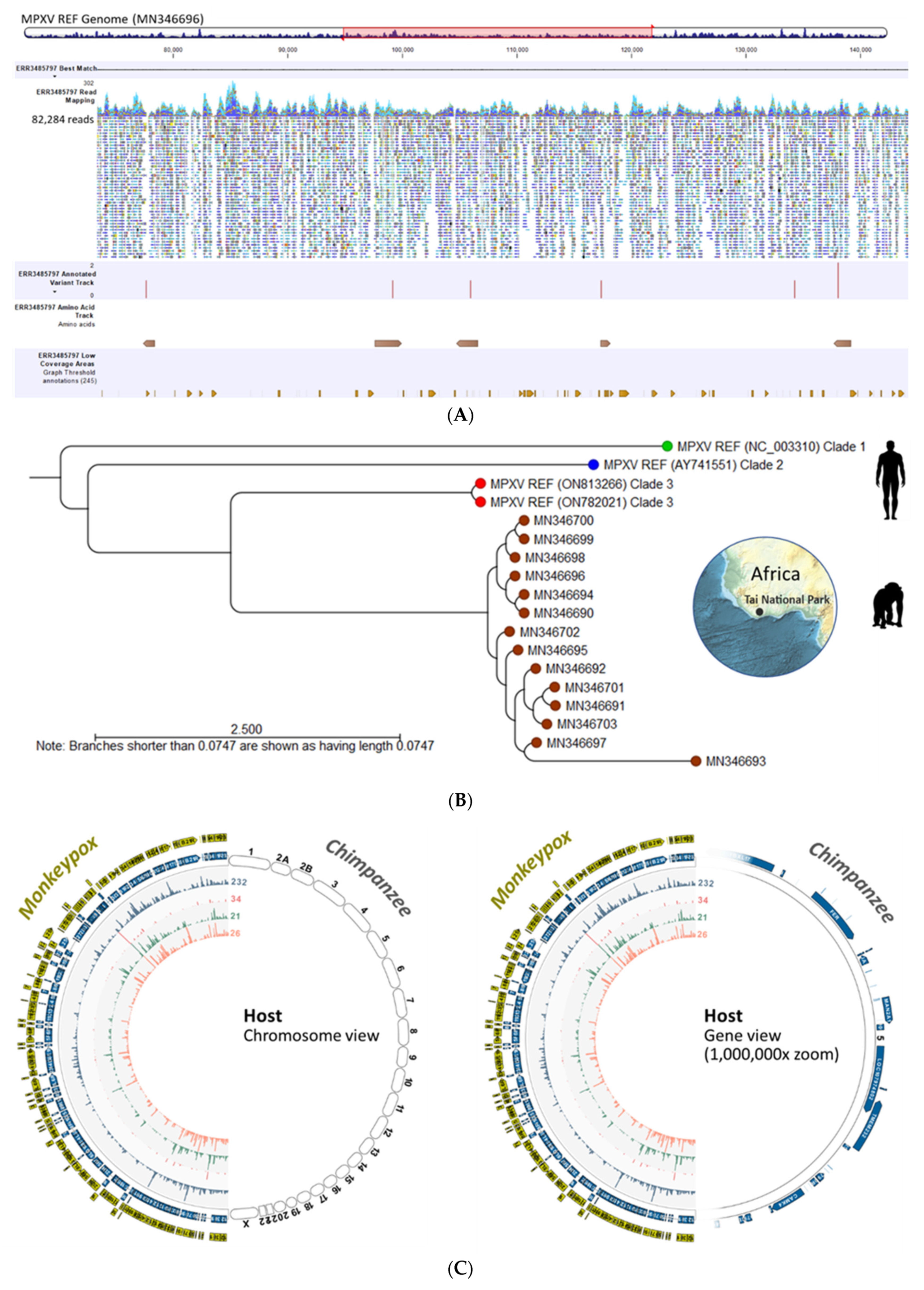 Viruses 15 00040 g006
