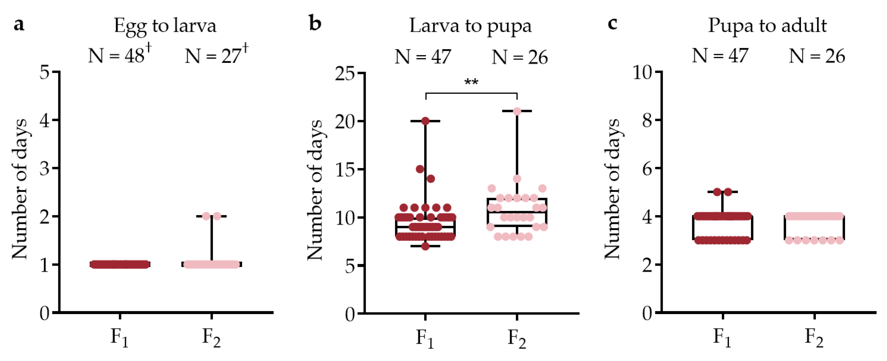 Viruses 15 00045 g004