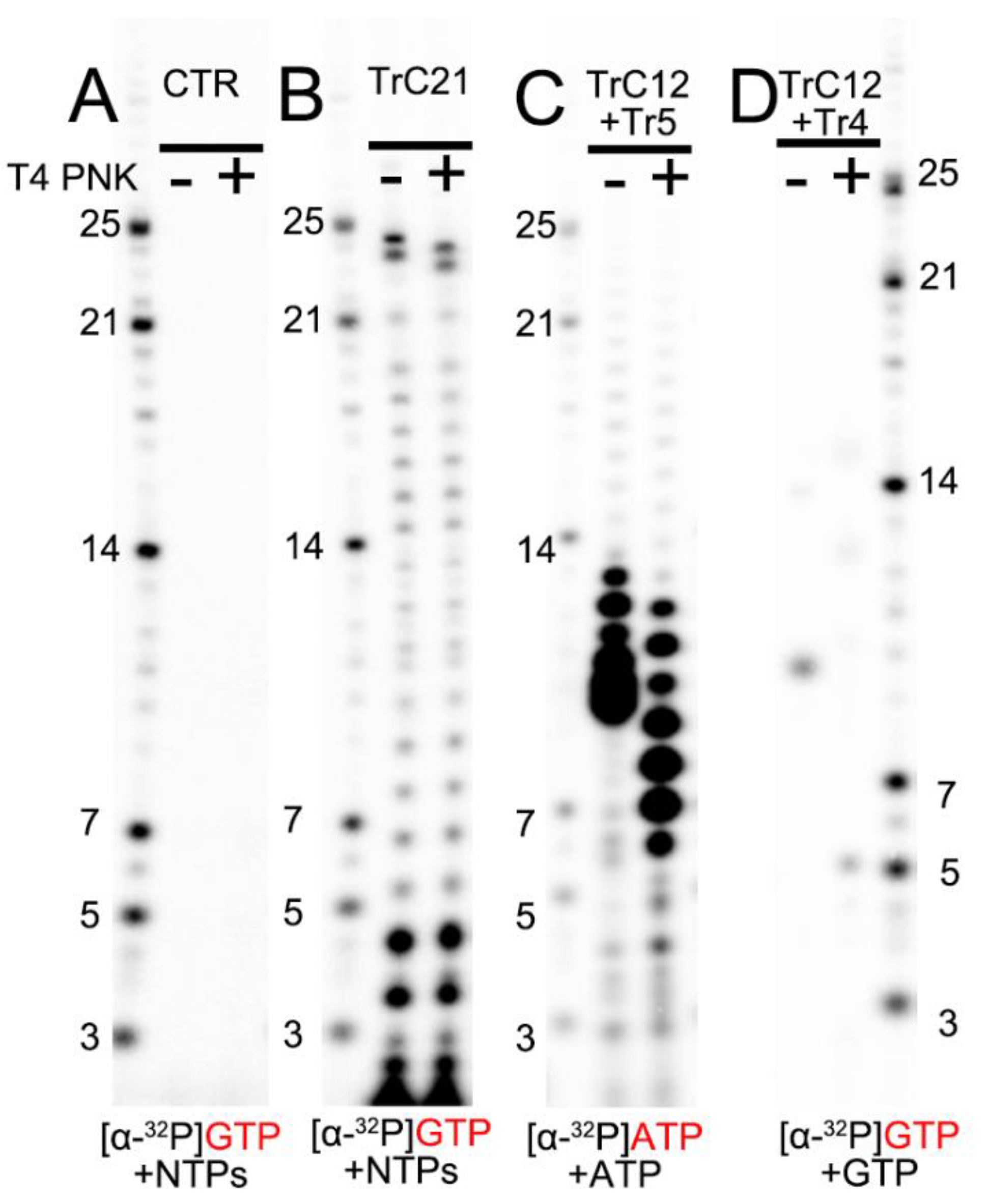 Viruses 15 00047 g003 Viruses 15 00047 g003