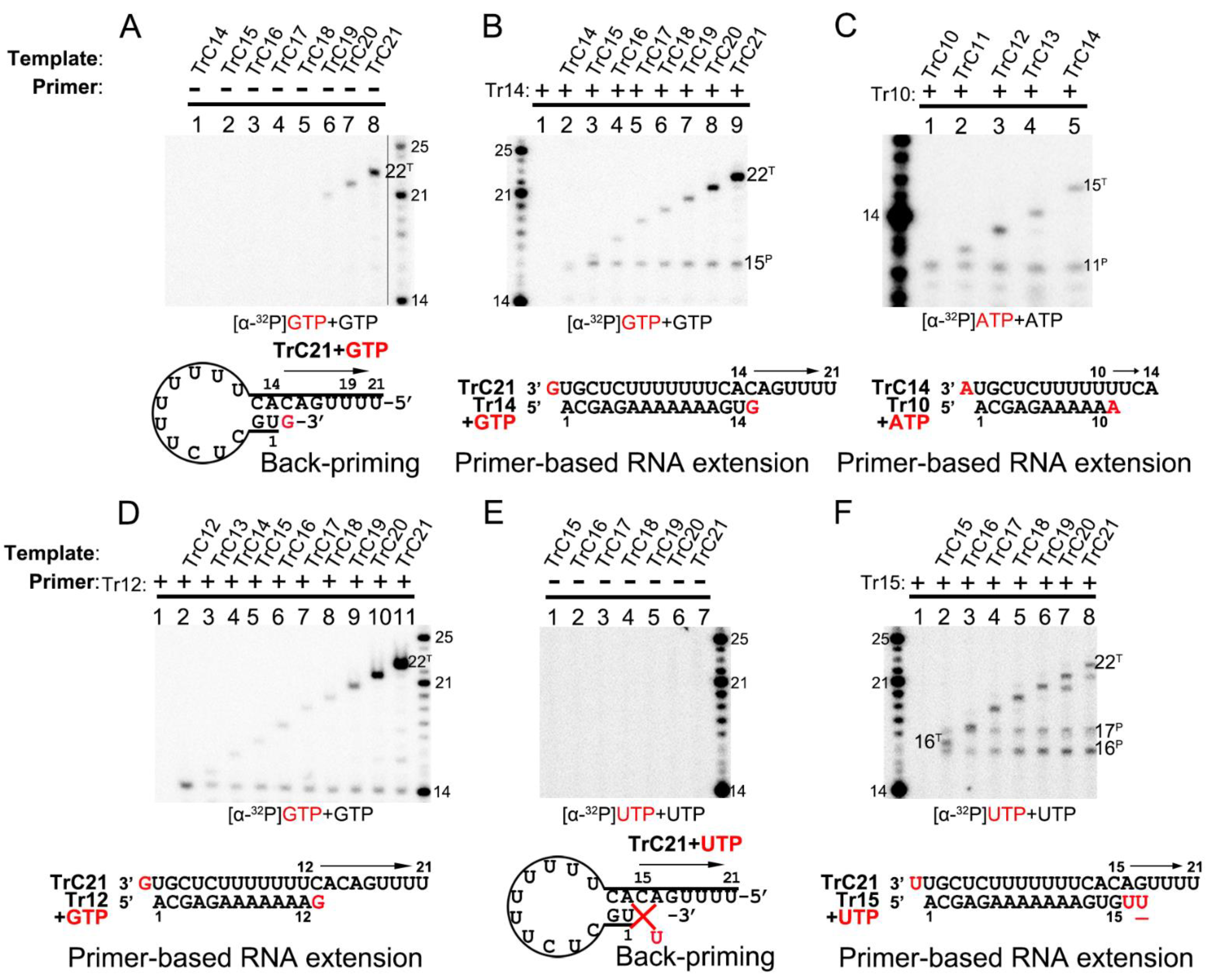 Viruses 15 00047 g004 Viruses 15 00047 g004