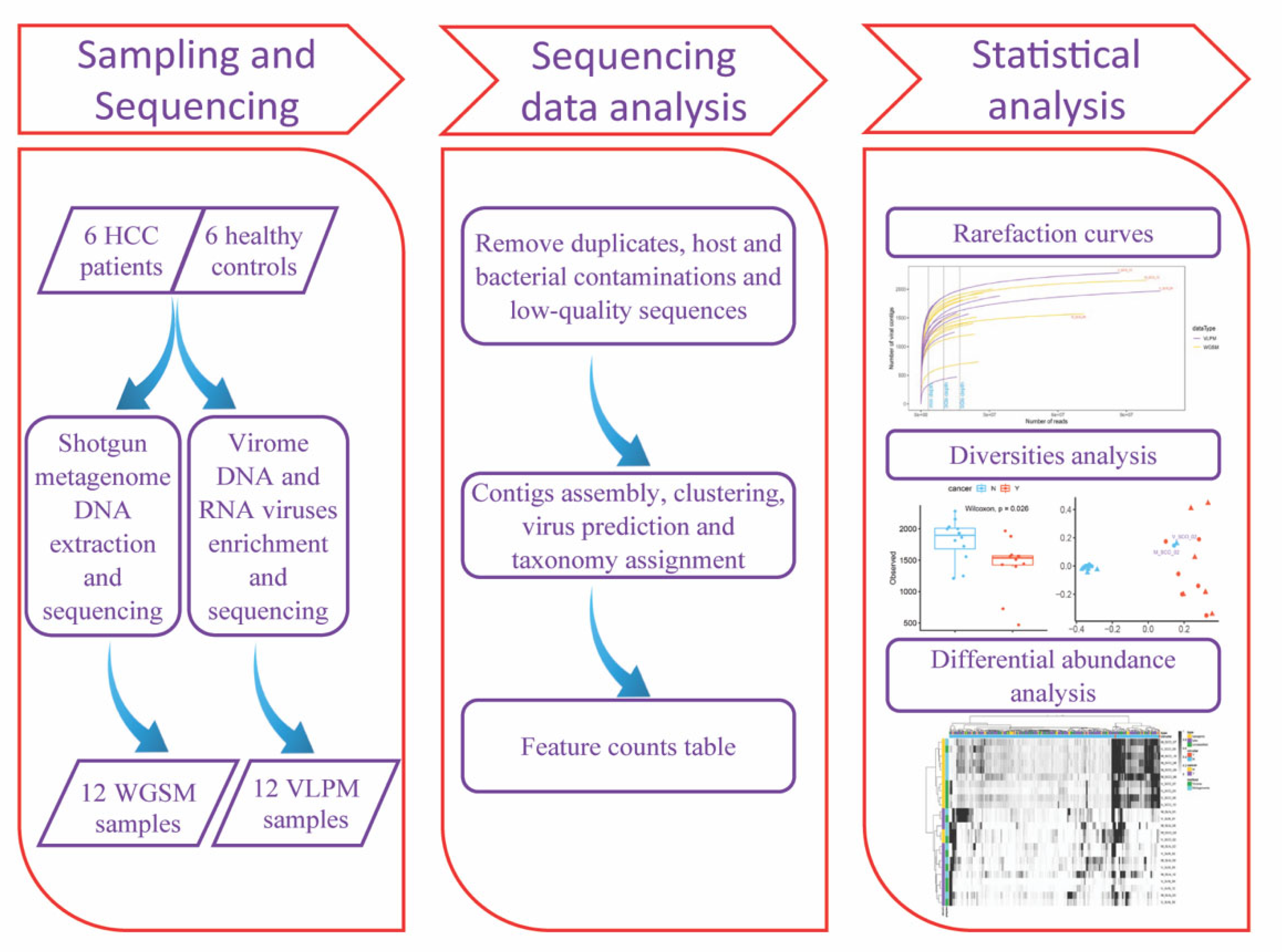 Viruses 15 00053 g001