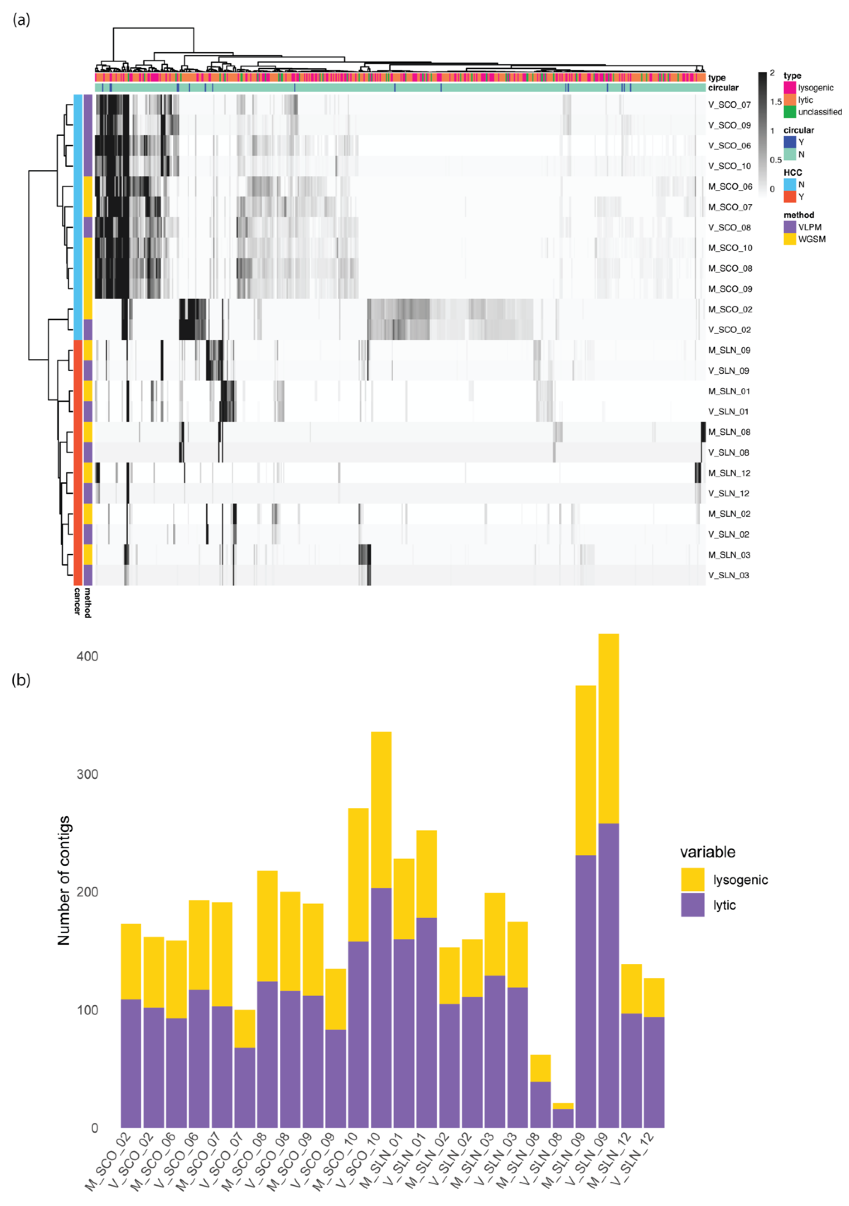 Viruses 15 00053 g004