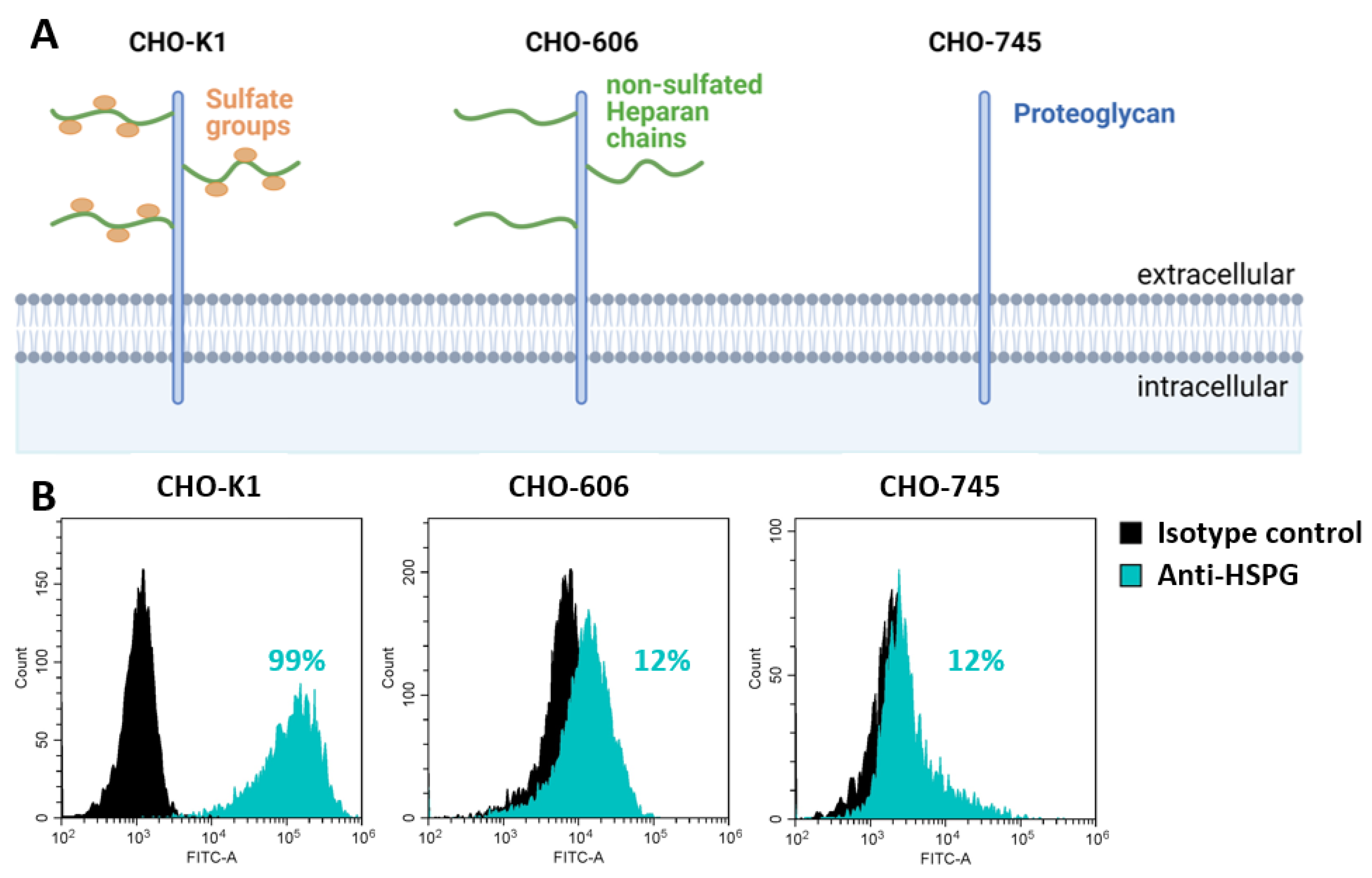 Viruses 15 00055 g002