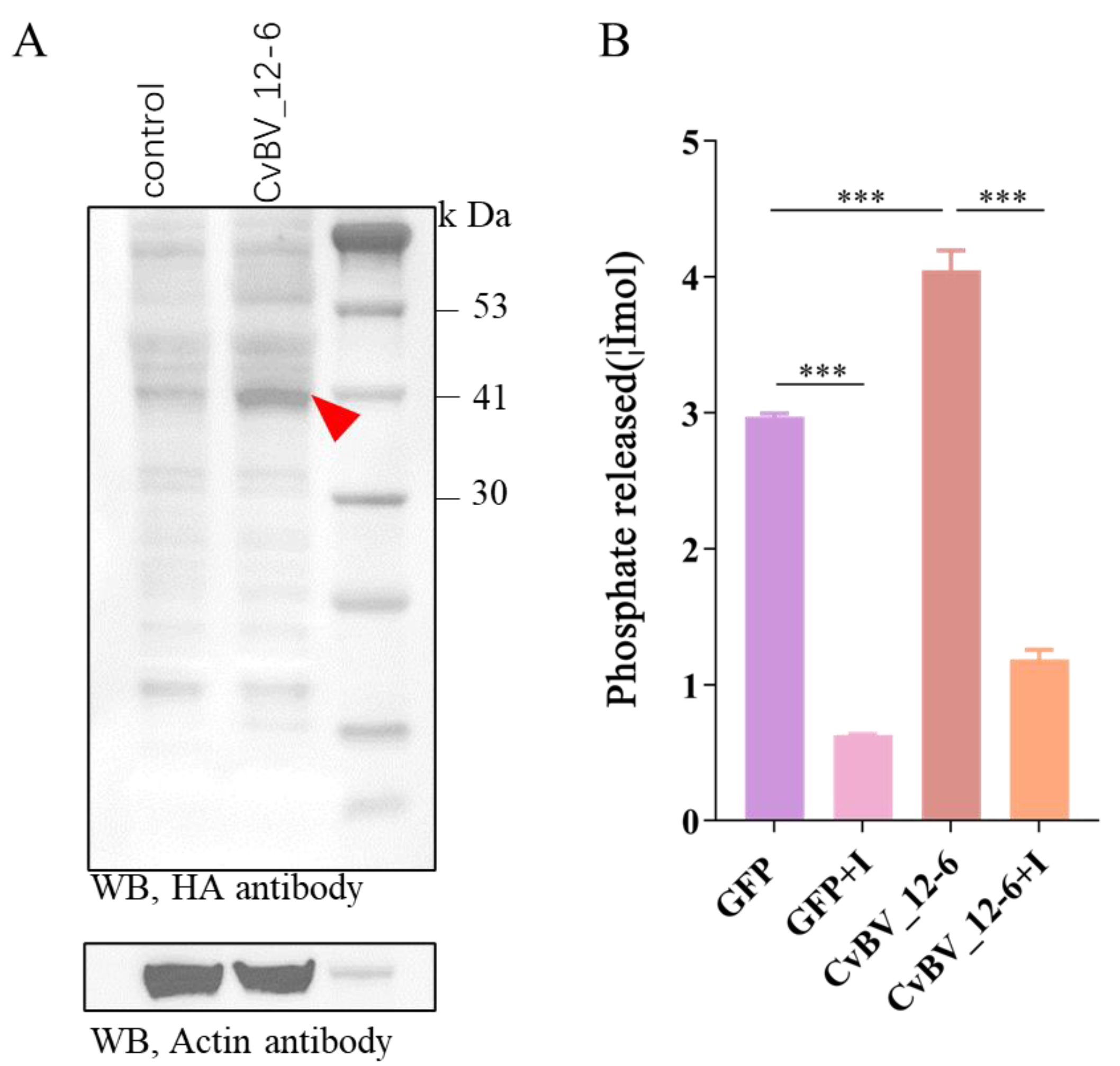 Viruses 15 00056 g002 Viruses 15 00056 g002