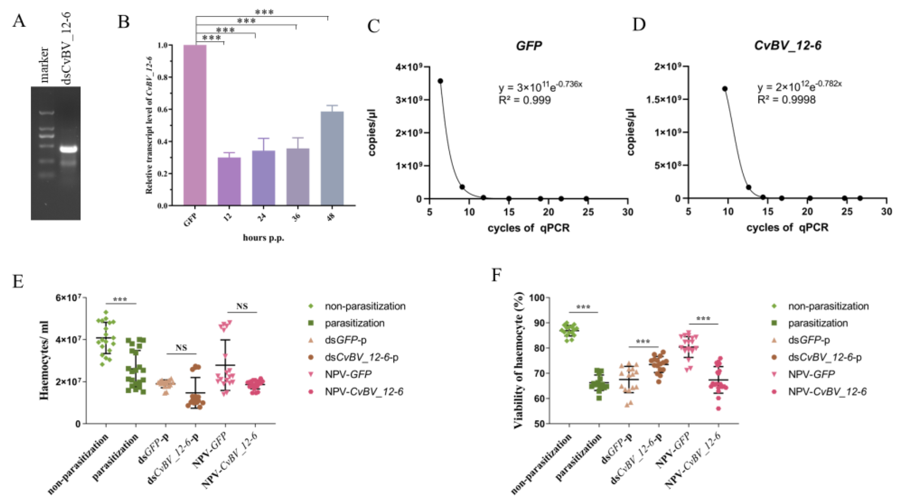 Viruses 15 00056 g004 Viruses 15 00056 g004