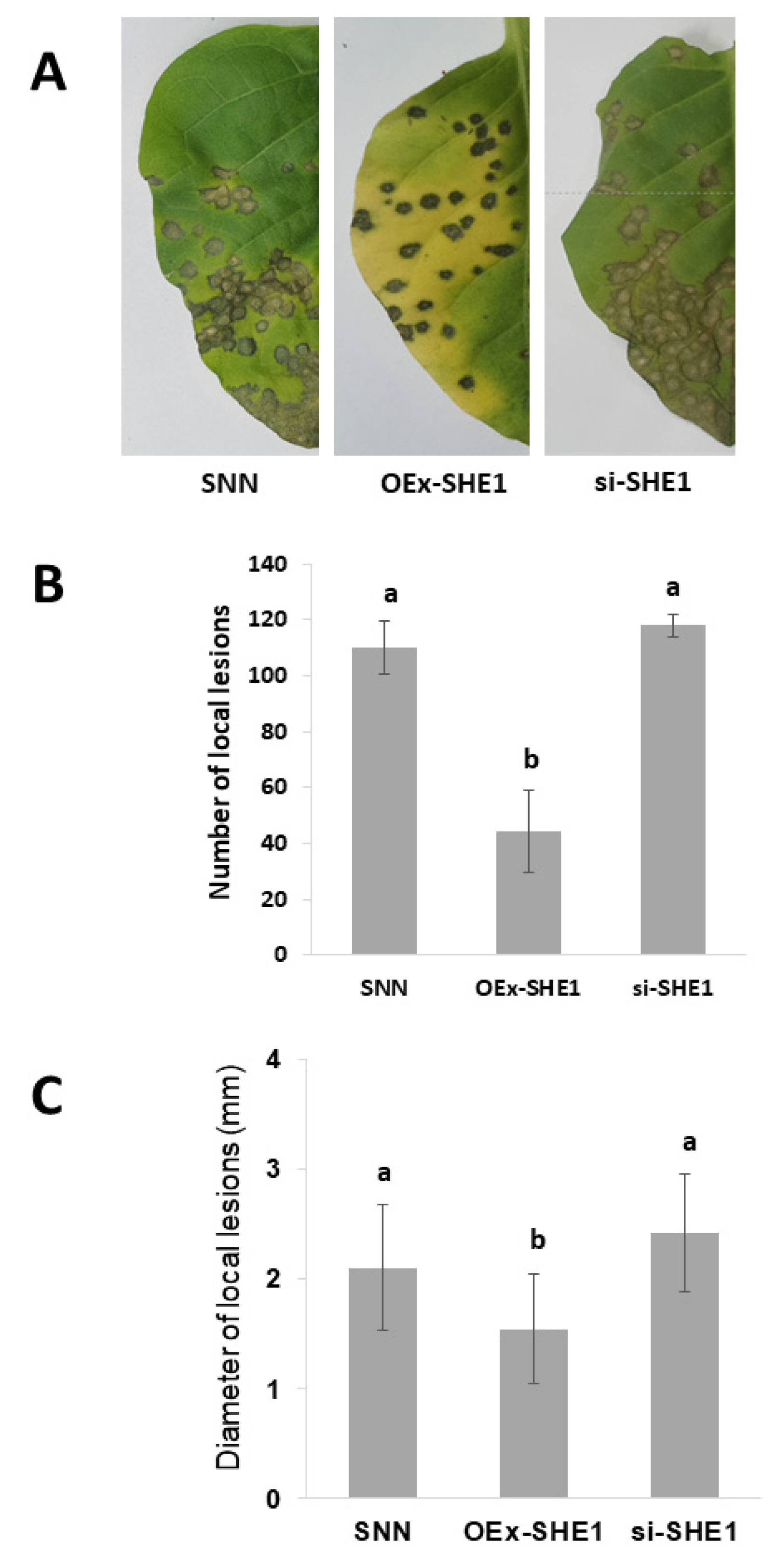 Viruses 15 00059 g002 Viruses 15 00059 g002