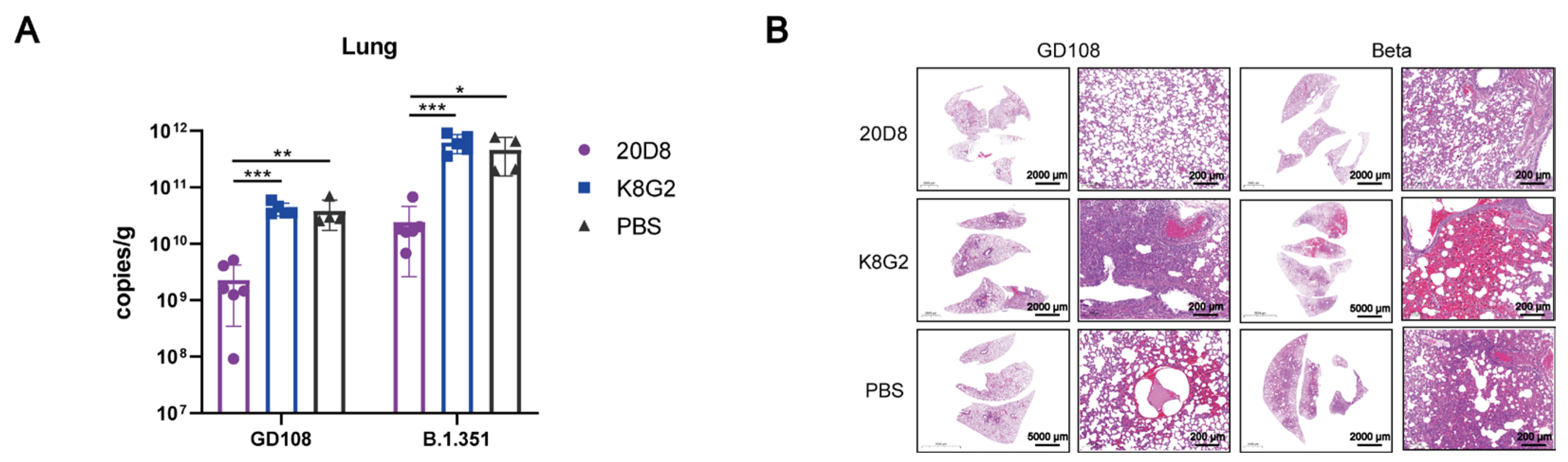 Viruses 15 00062 g002 Viruses 15 00062 g002