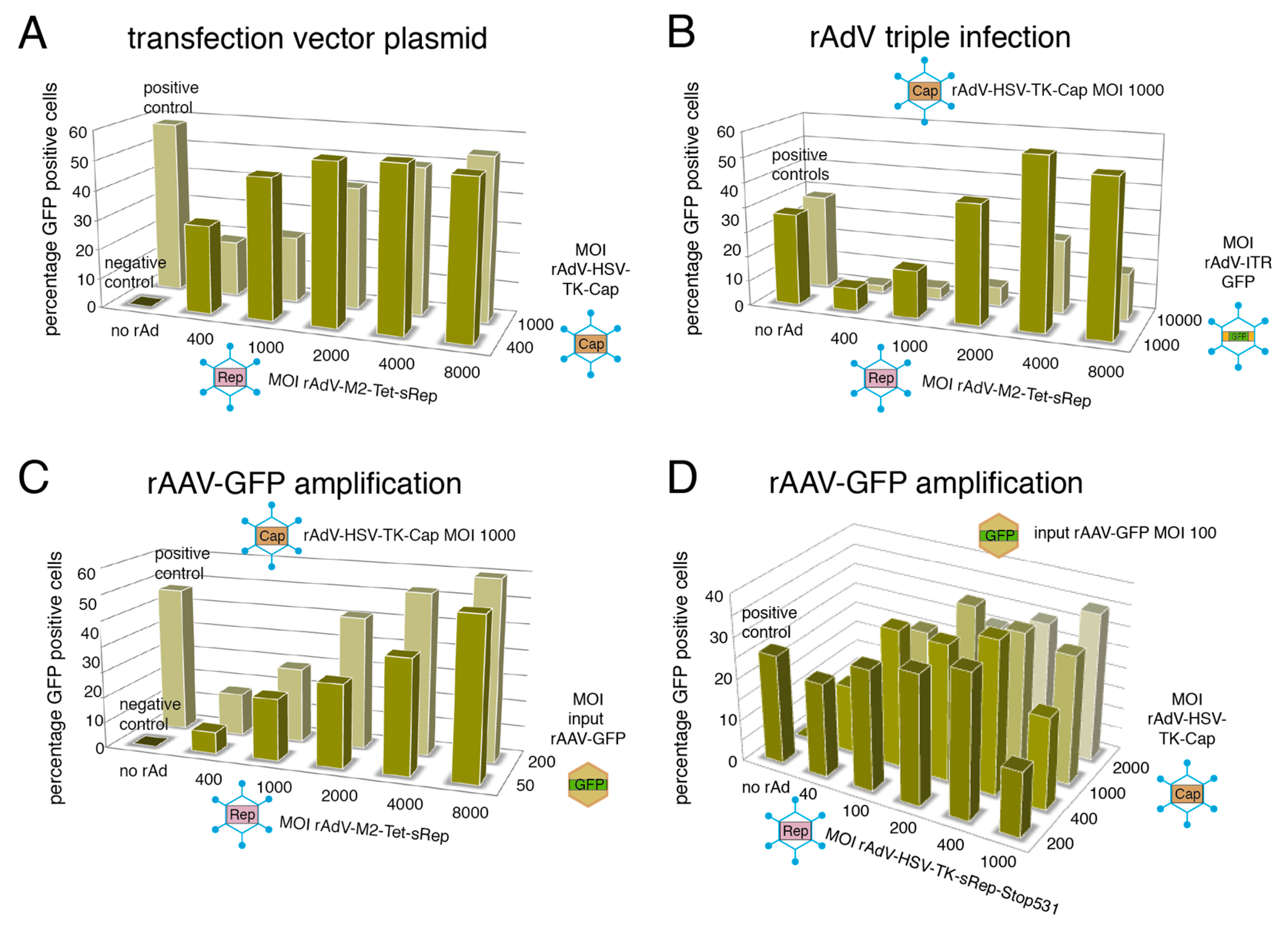Viruses 15 00064 g005