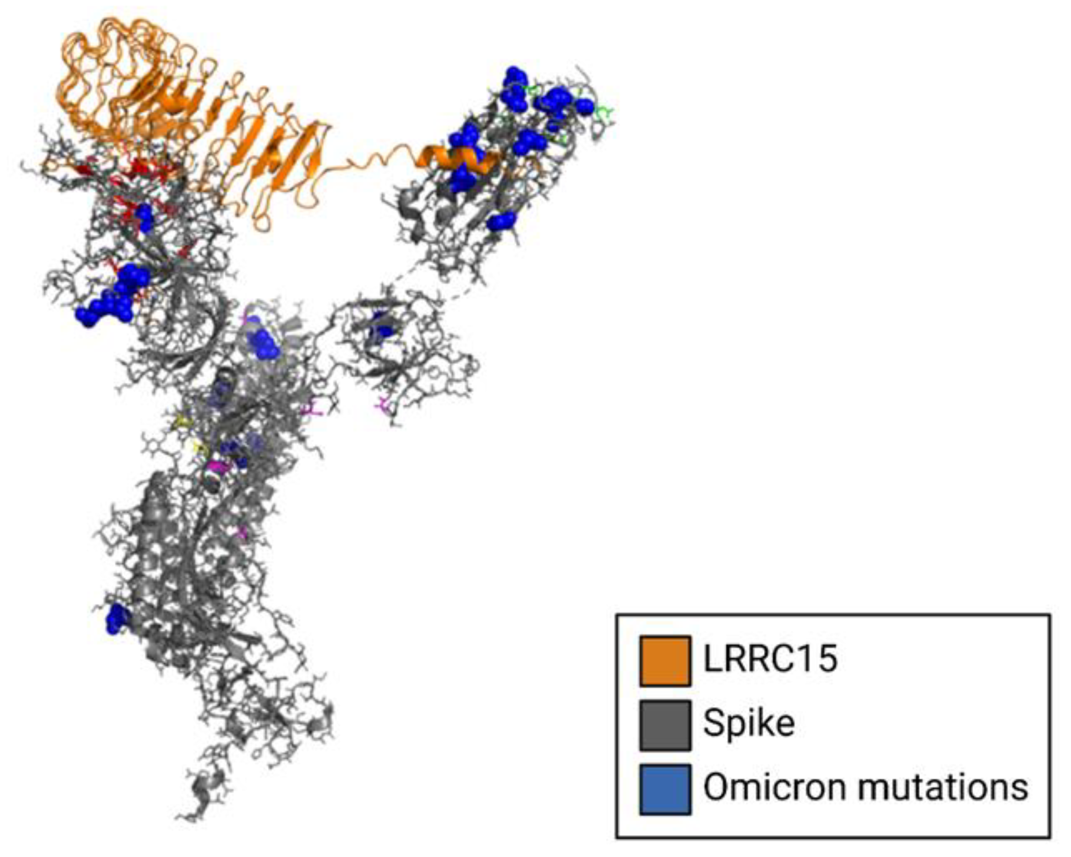 Viruses 15 00067 g005