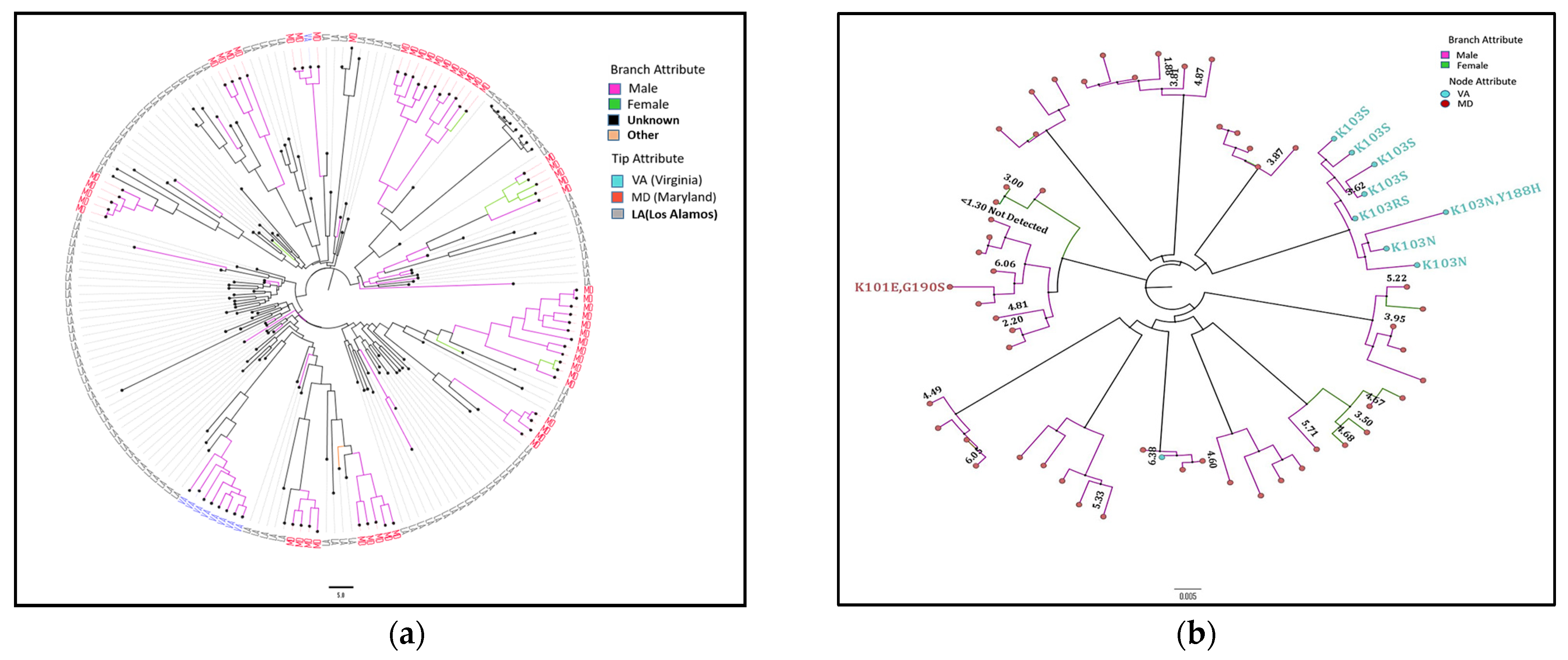 Viruses 15 00068 g002
