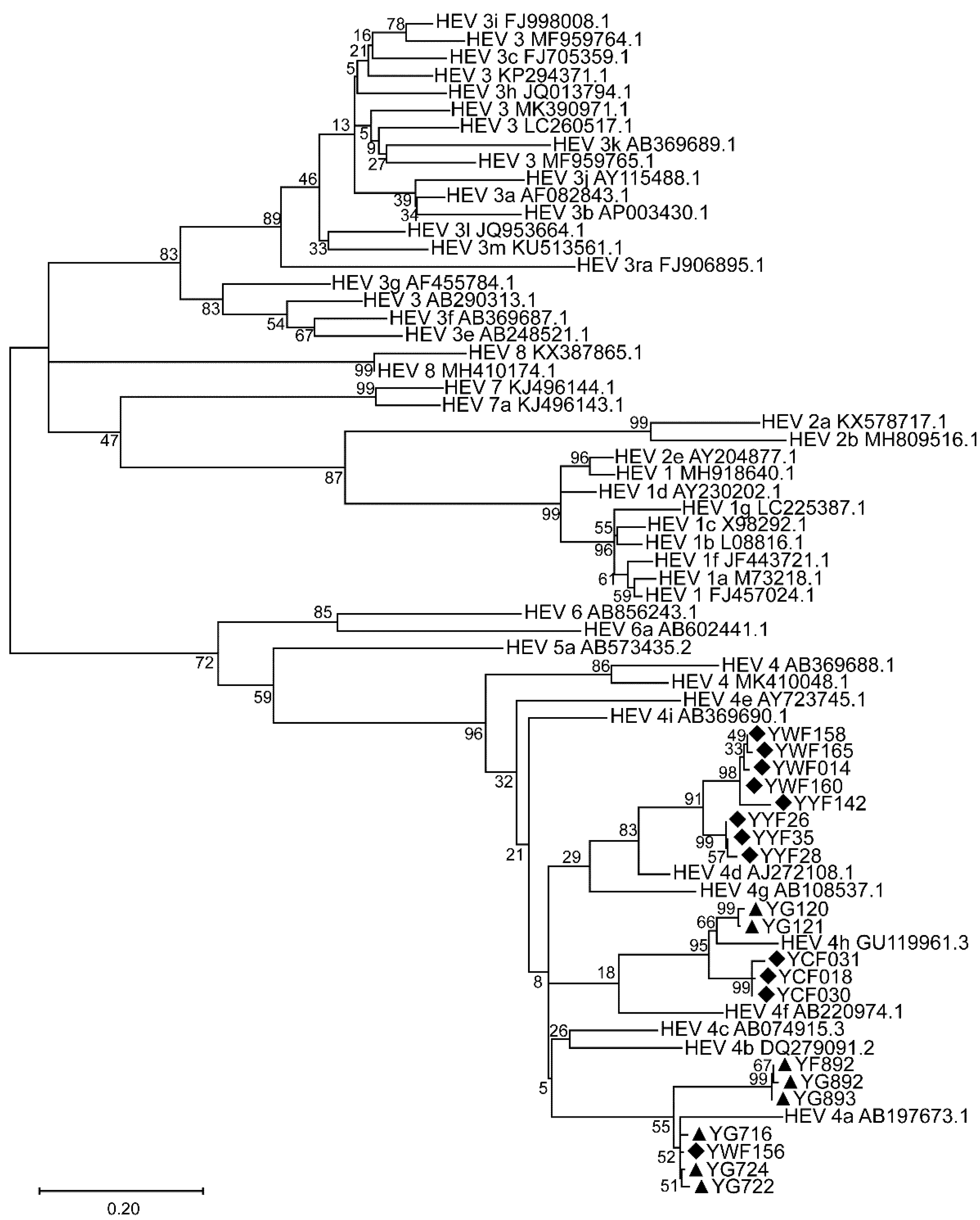 Viruses 15 00078 g002 Viruses 15 00078 g002