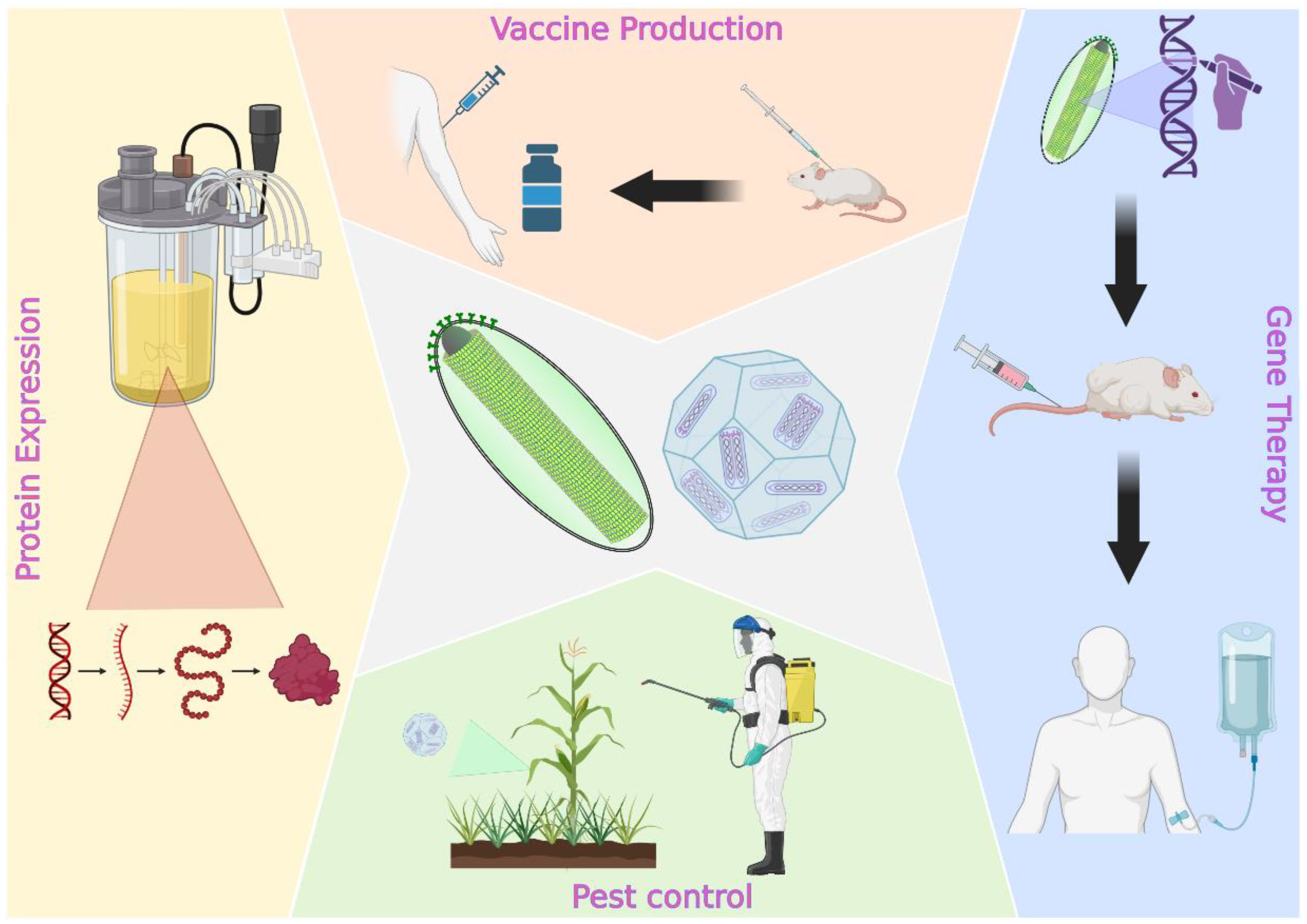 Viruses 15 00080 g001 Viruses 15 00080 g001
