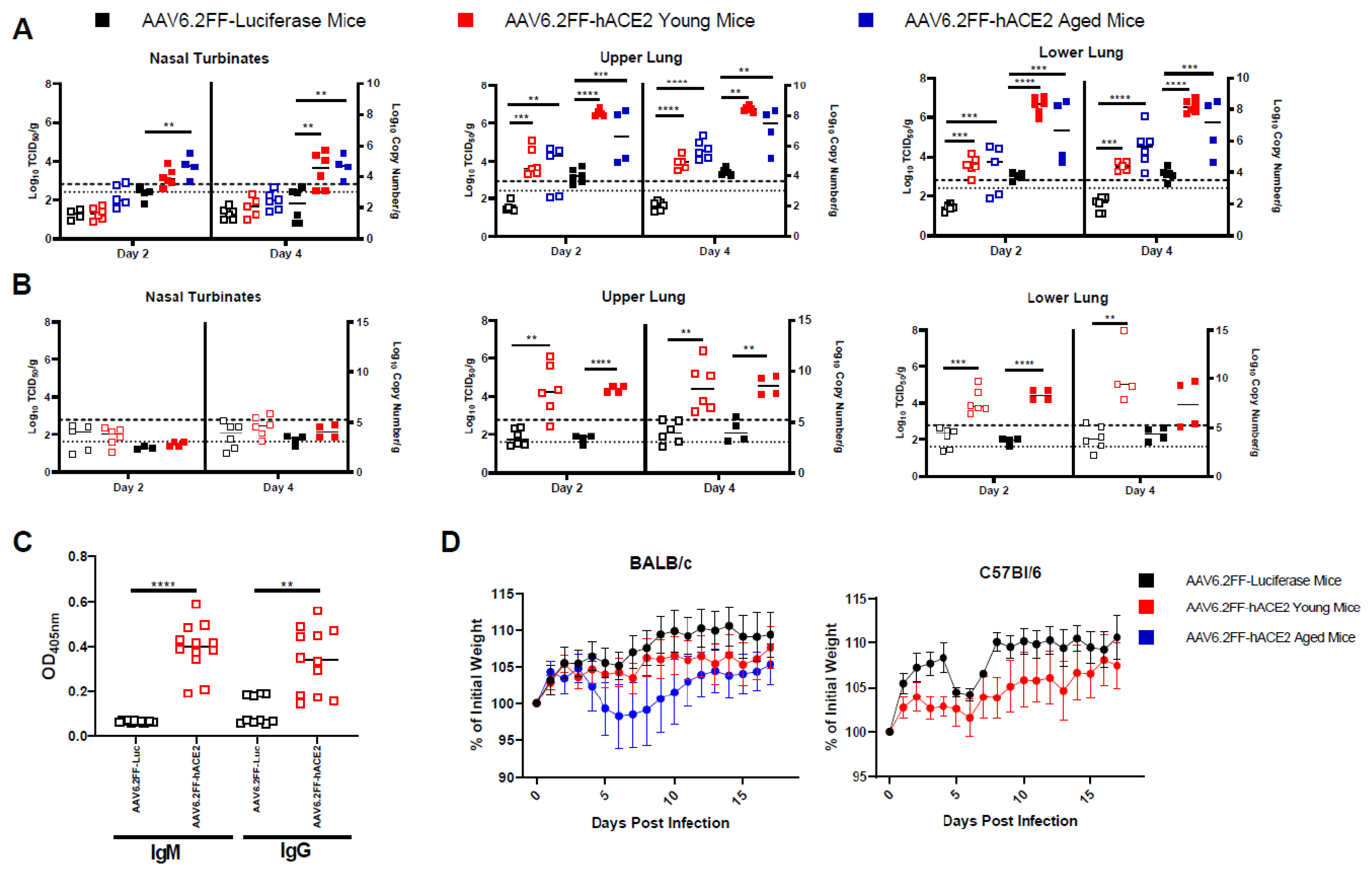Viruses 15 00085 g002 Viruses 15 00085 g002