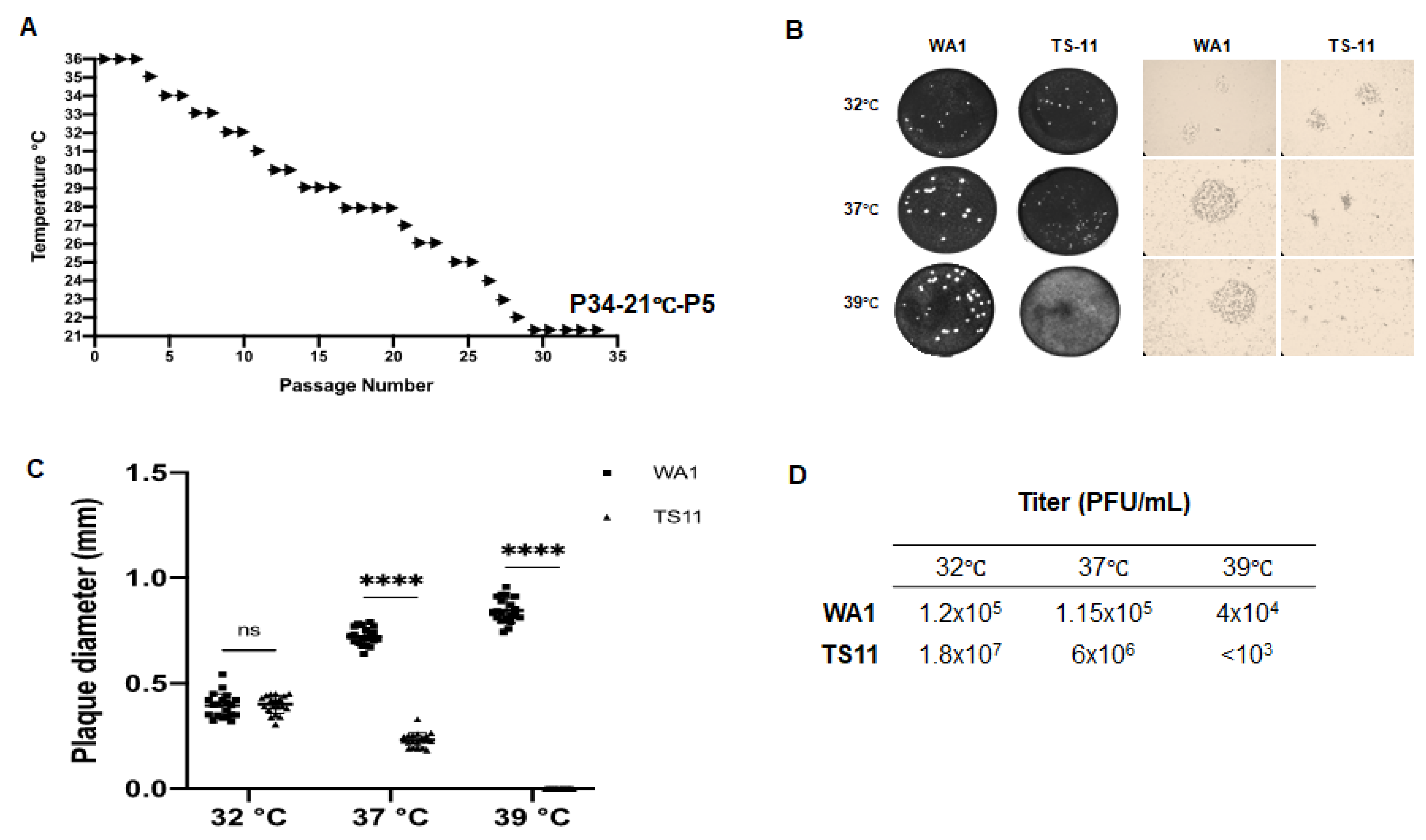 Viruses 15 00095 g001