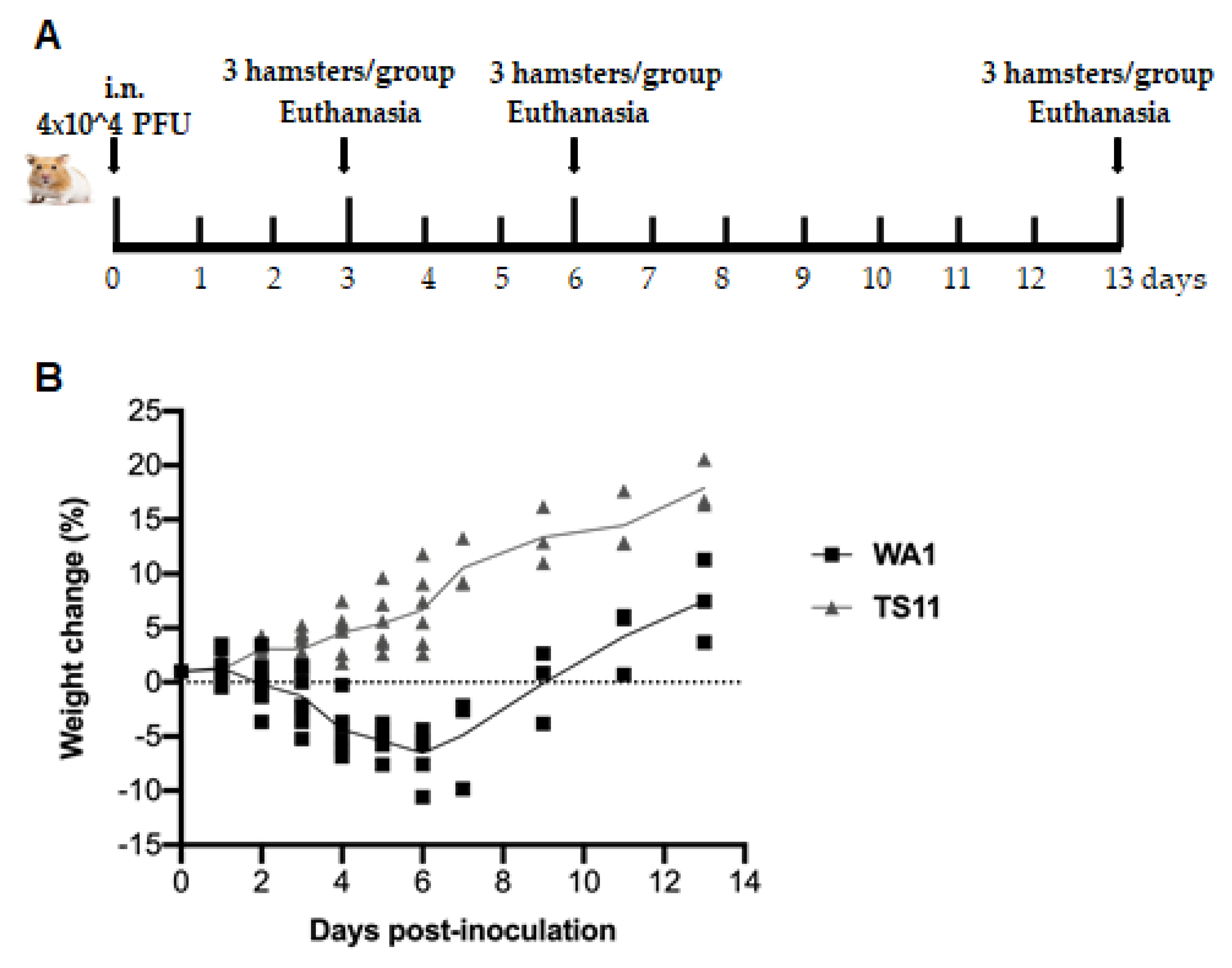 Viruses 15 00095 g003a