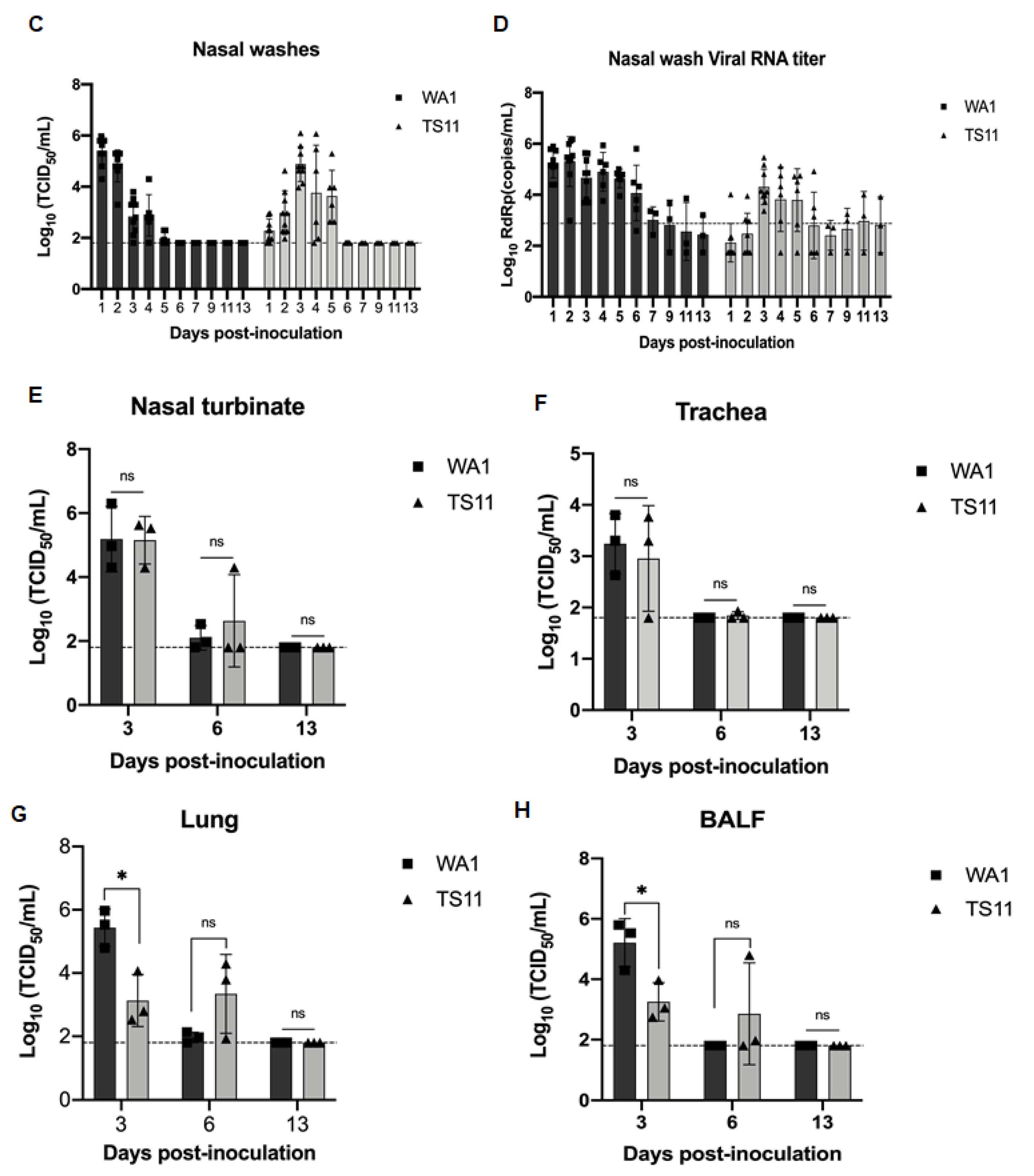 Viruses 15 00095 g003b