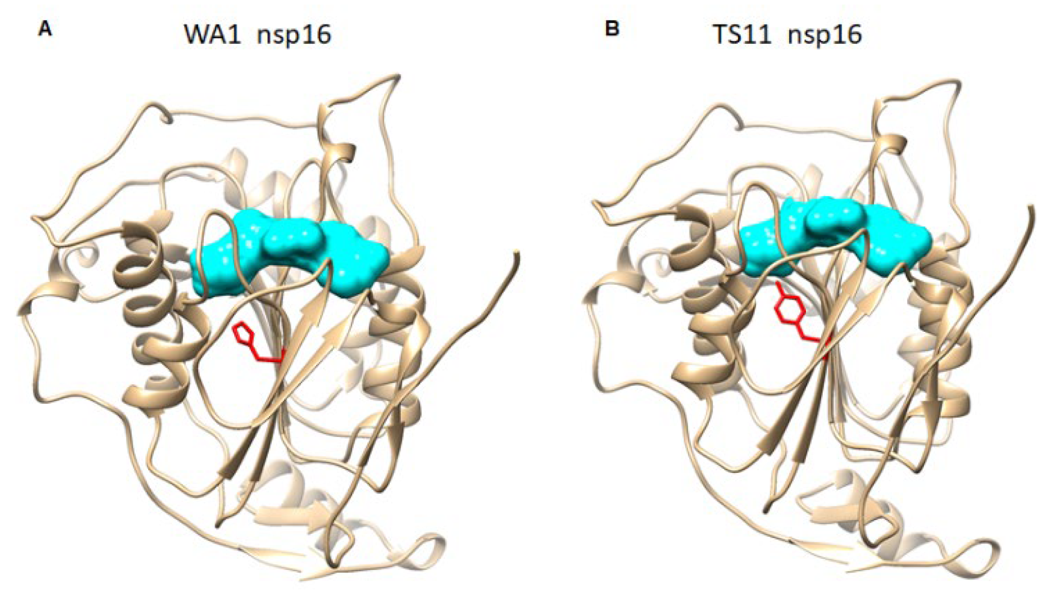 Viruses 15 00095 g006