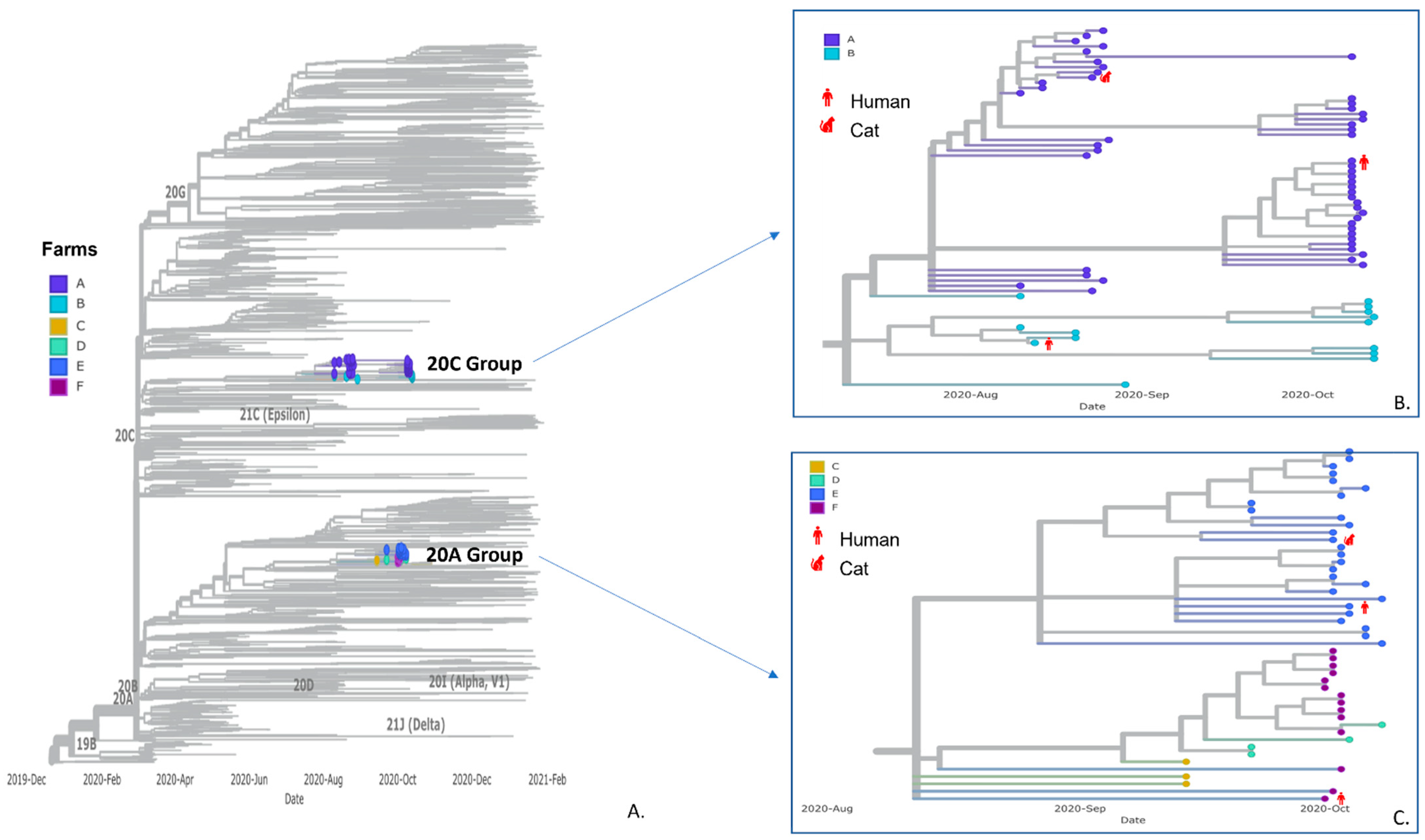 Viruses 15 00096 g003