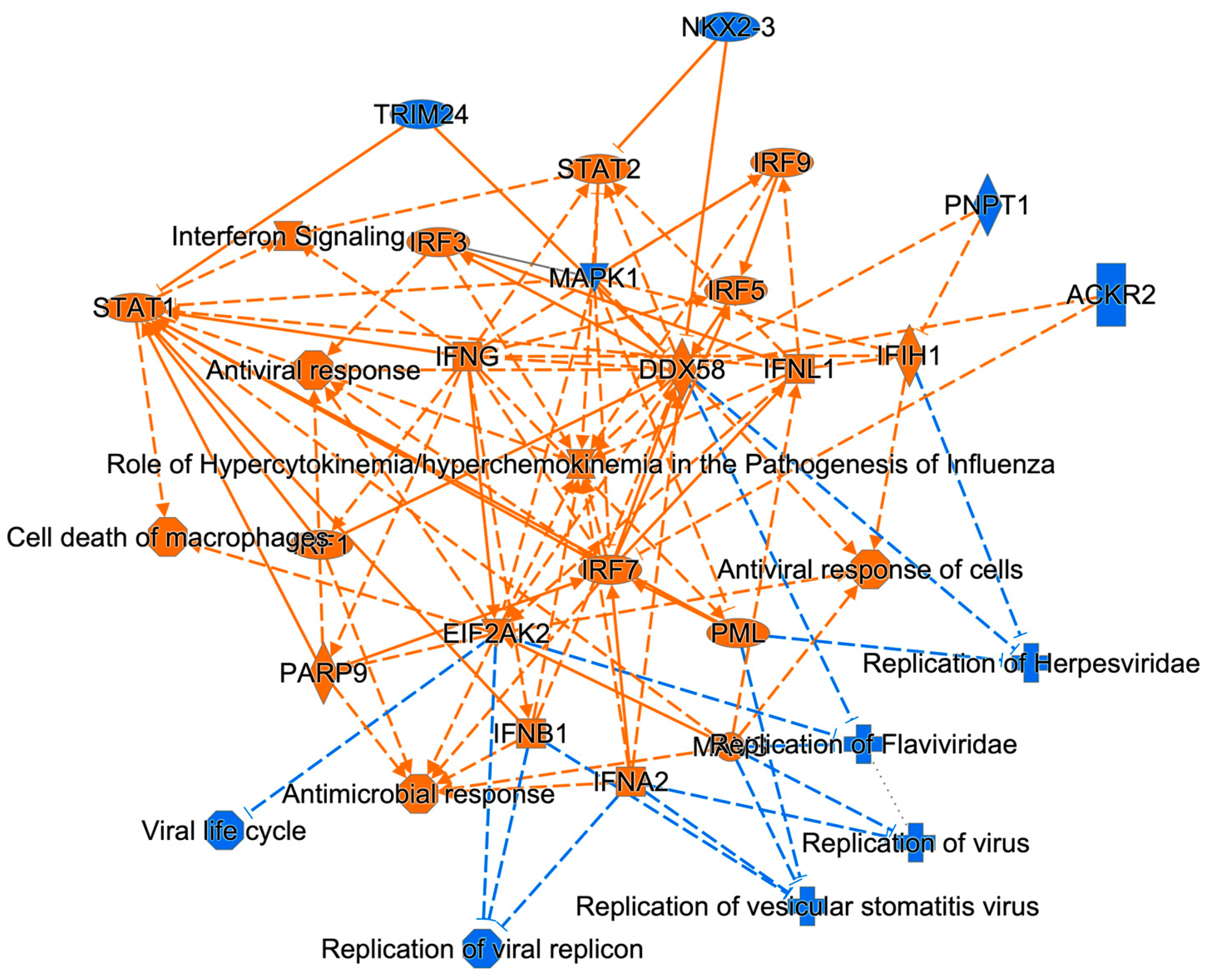 Viruses 15 00097 g001