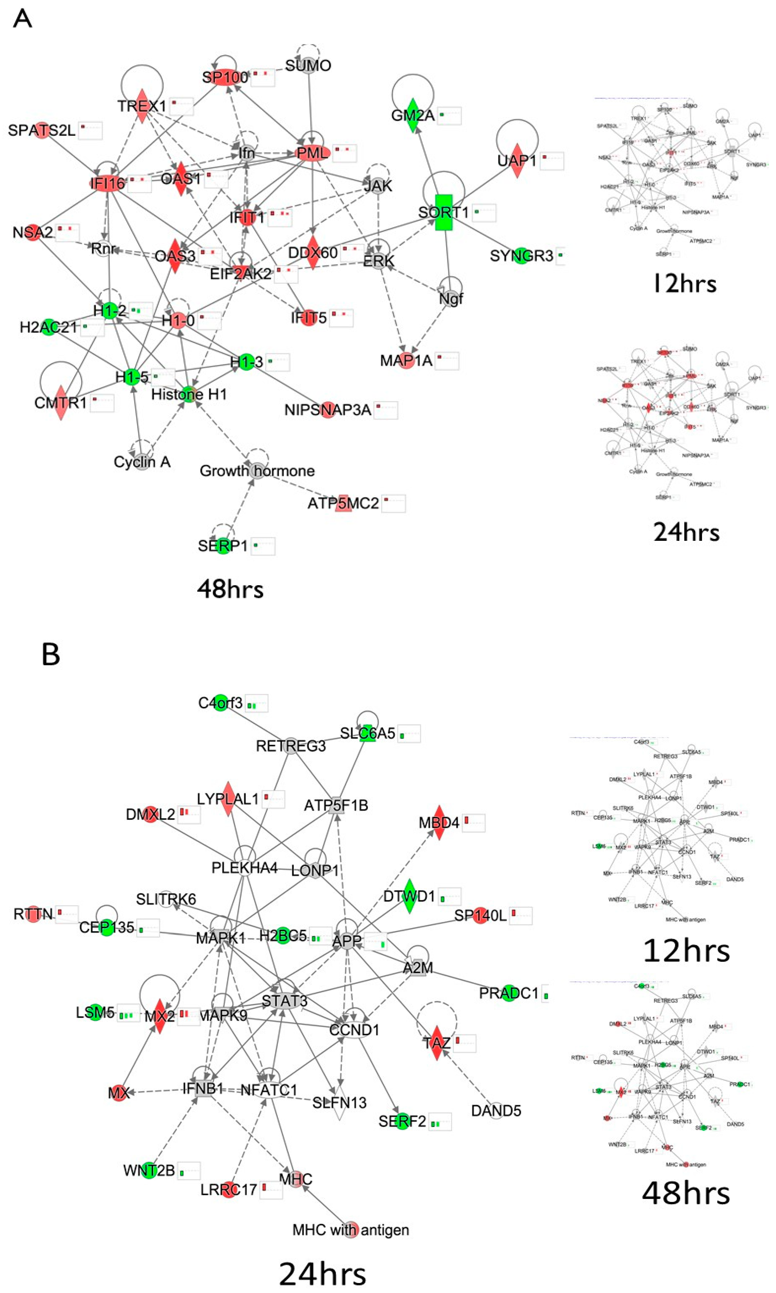 Viruses 15 00097 g002