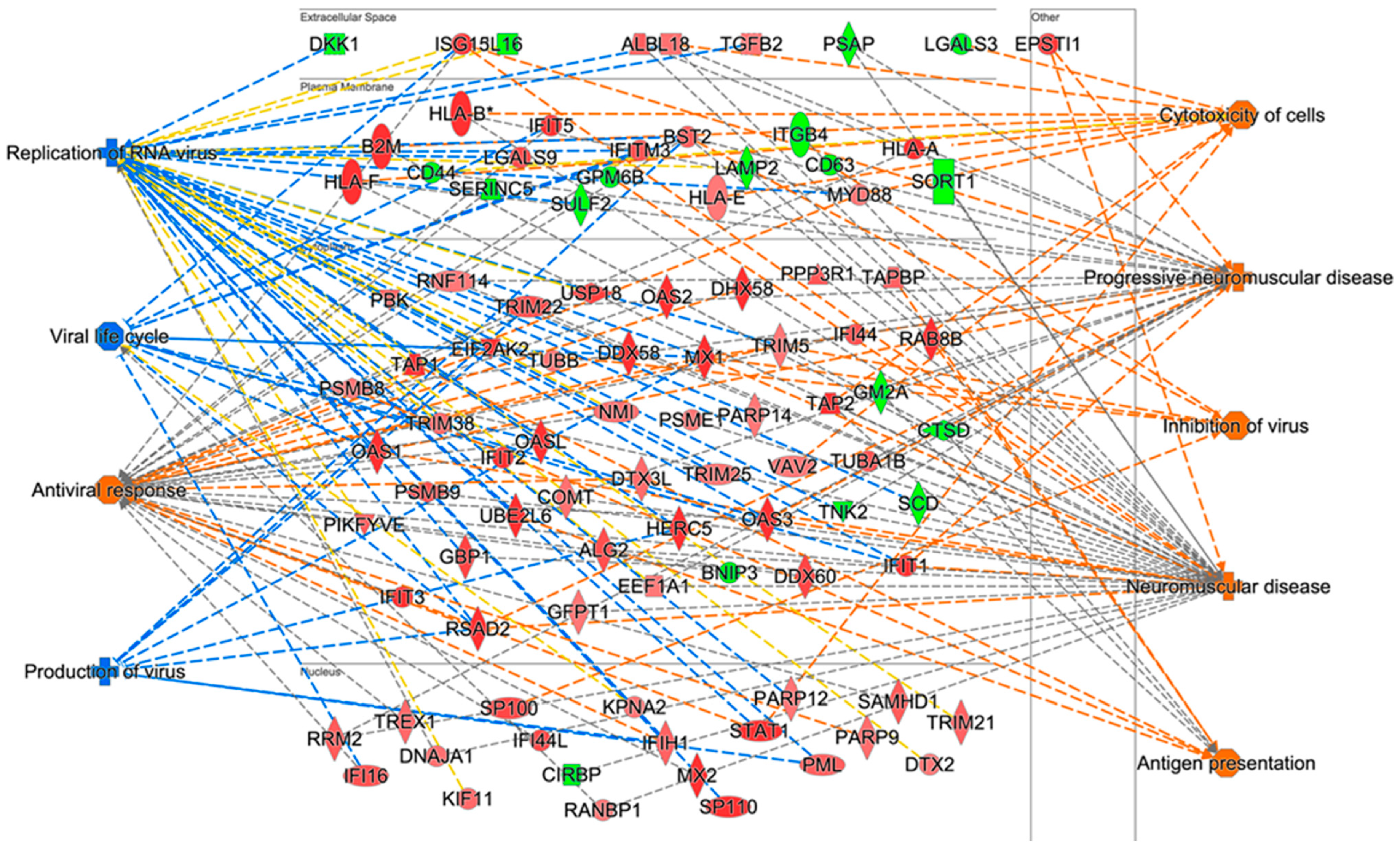 Viruses 15 00097 g003