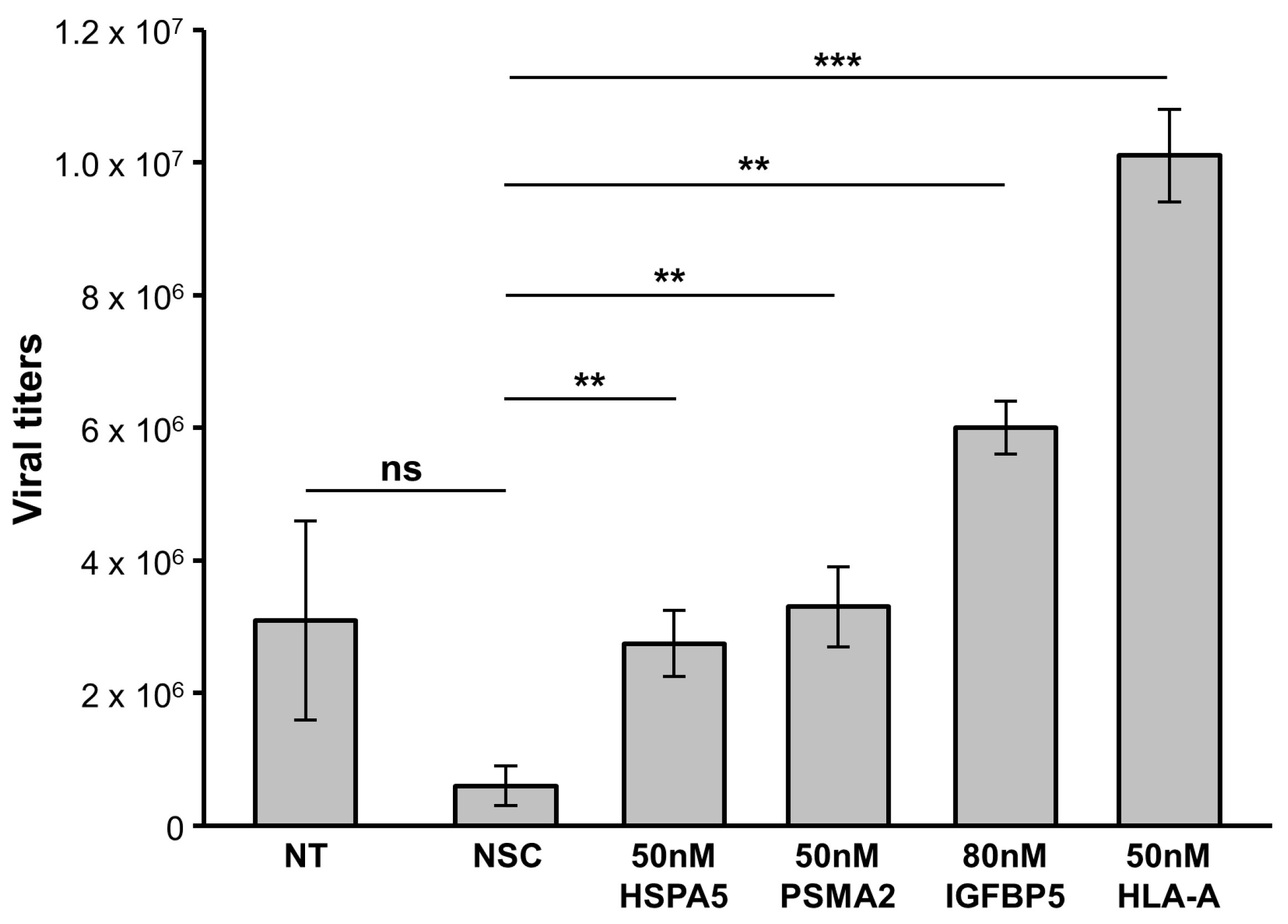 Viruses 15 00097 g008