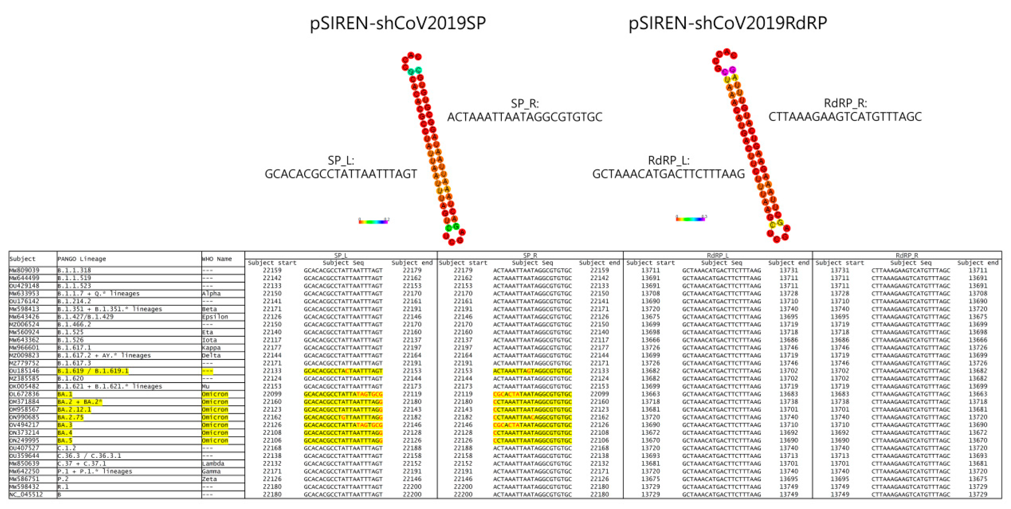 Viruses 15 00100 g001