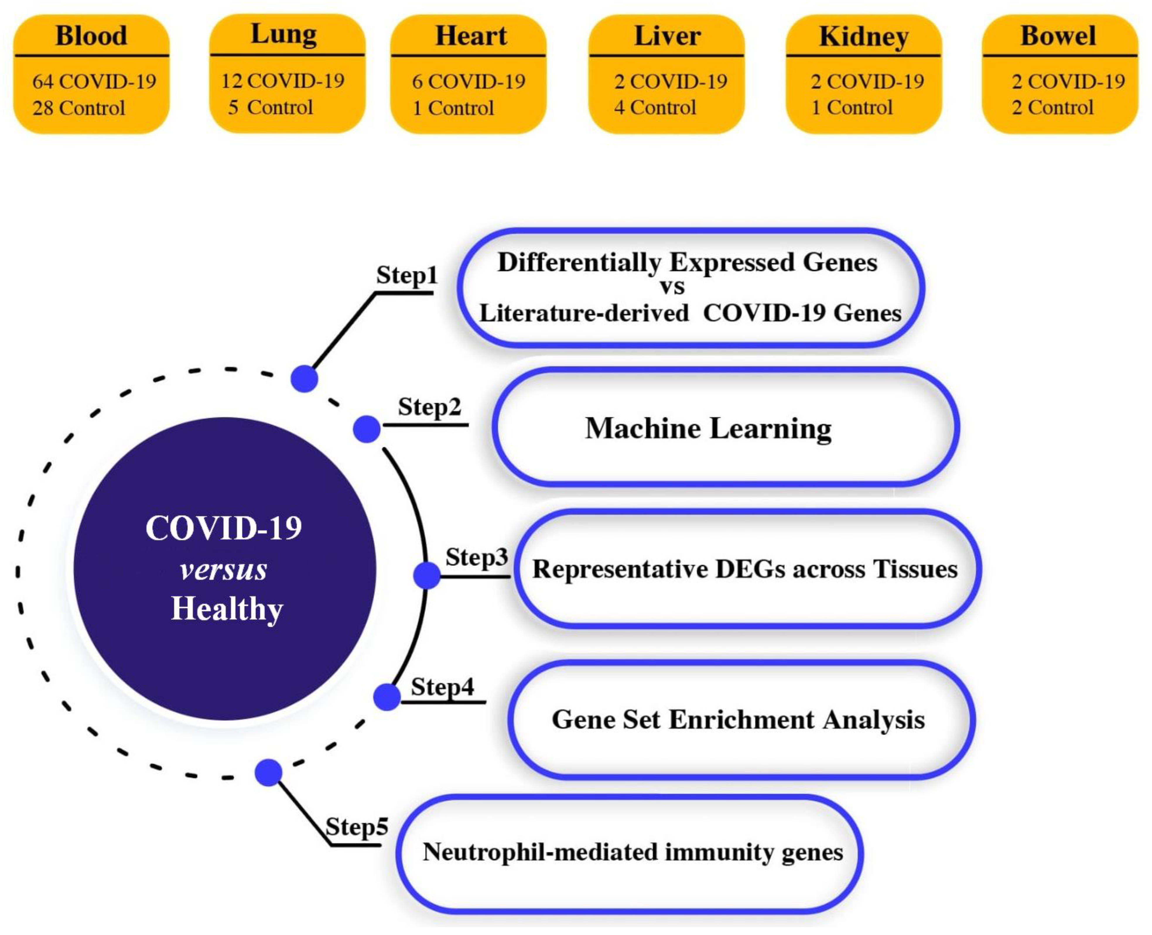 Viruses 15 00104 g001 Viruses 15 00104 g001