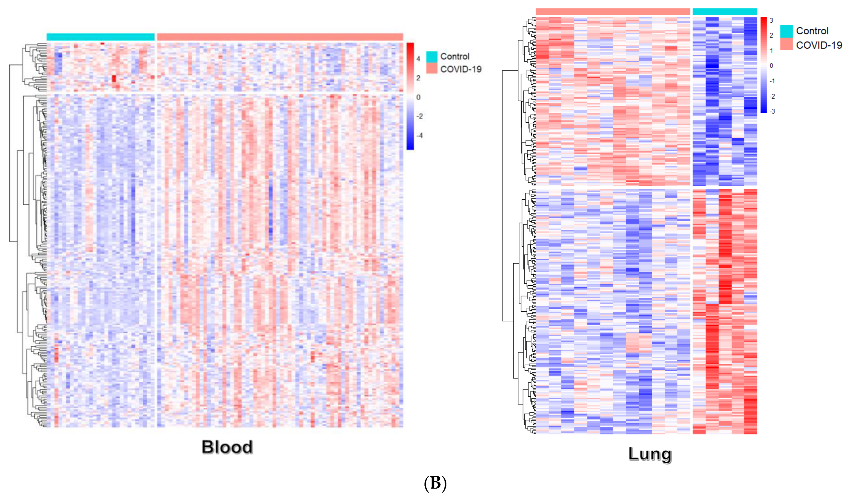 Viruses 15 00104 g002b Viruses 15 00104 g002b
