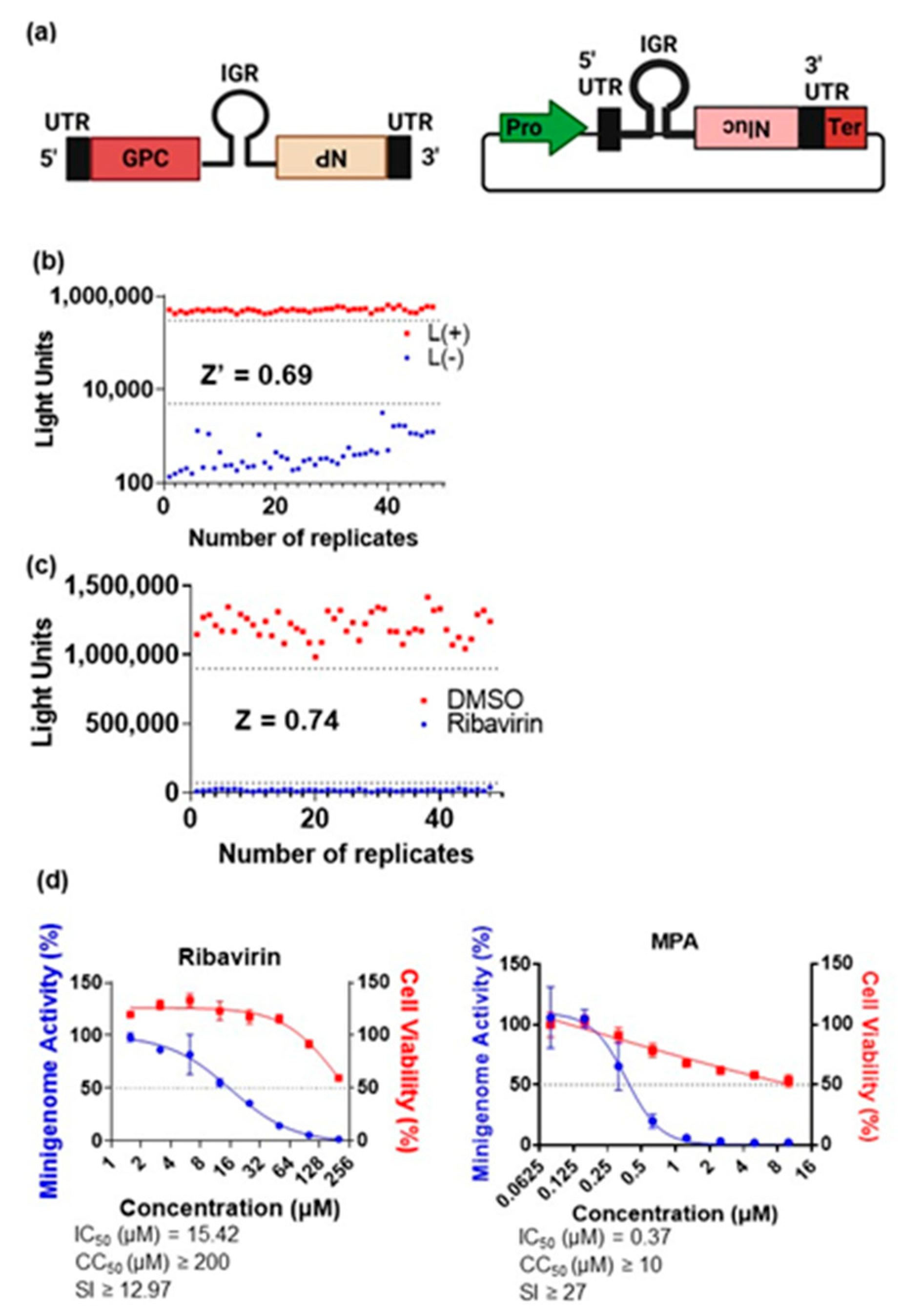 Viruses 15 00105 g001