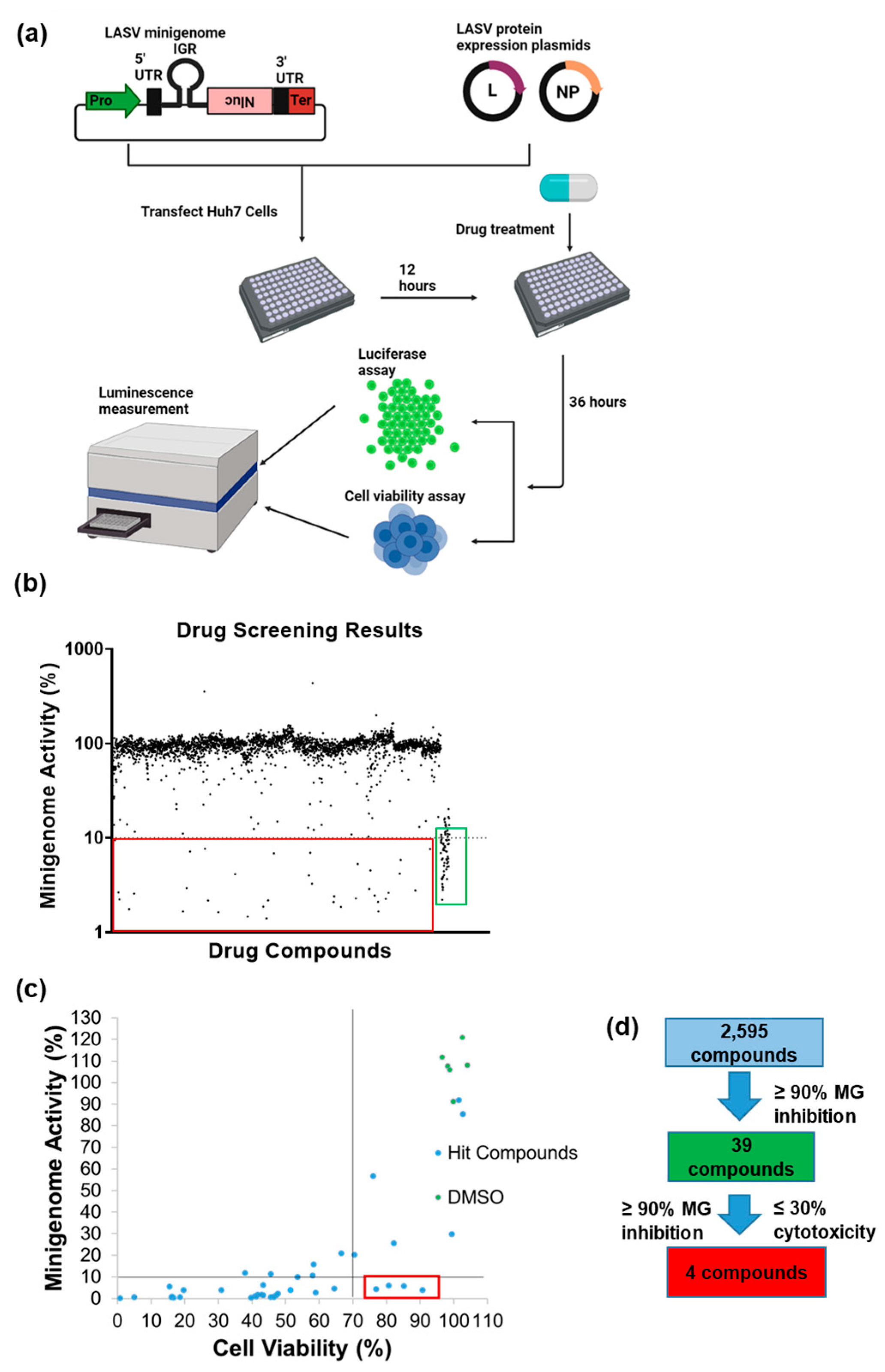 Viruses 15 00105 g002