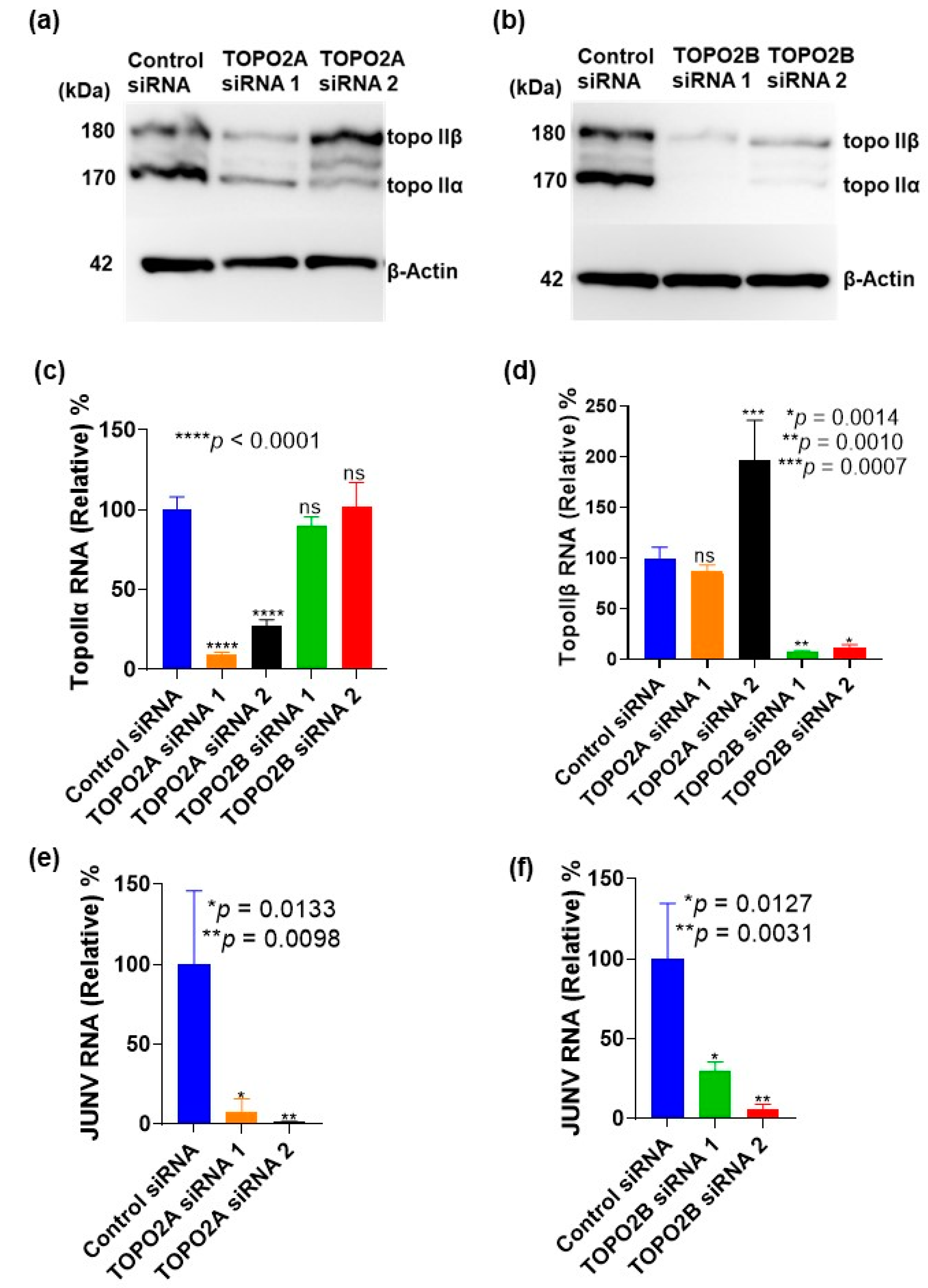 Viruses 15 00105 g007a