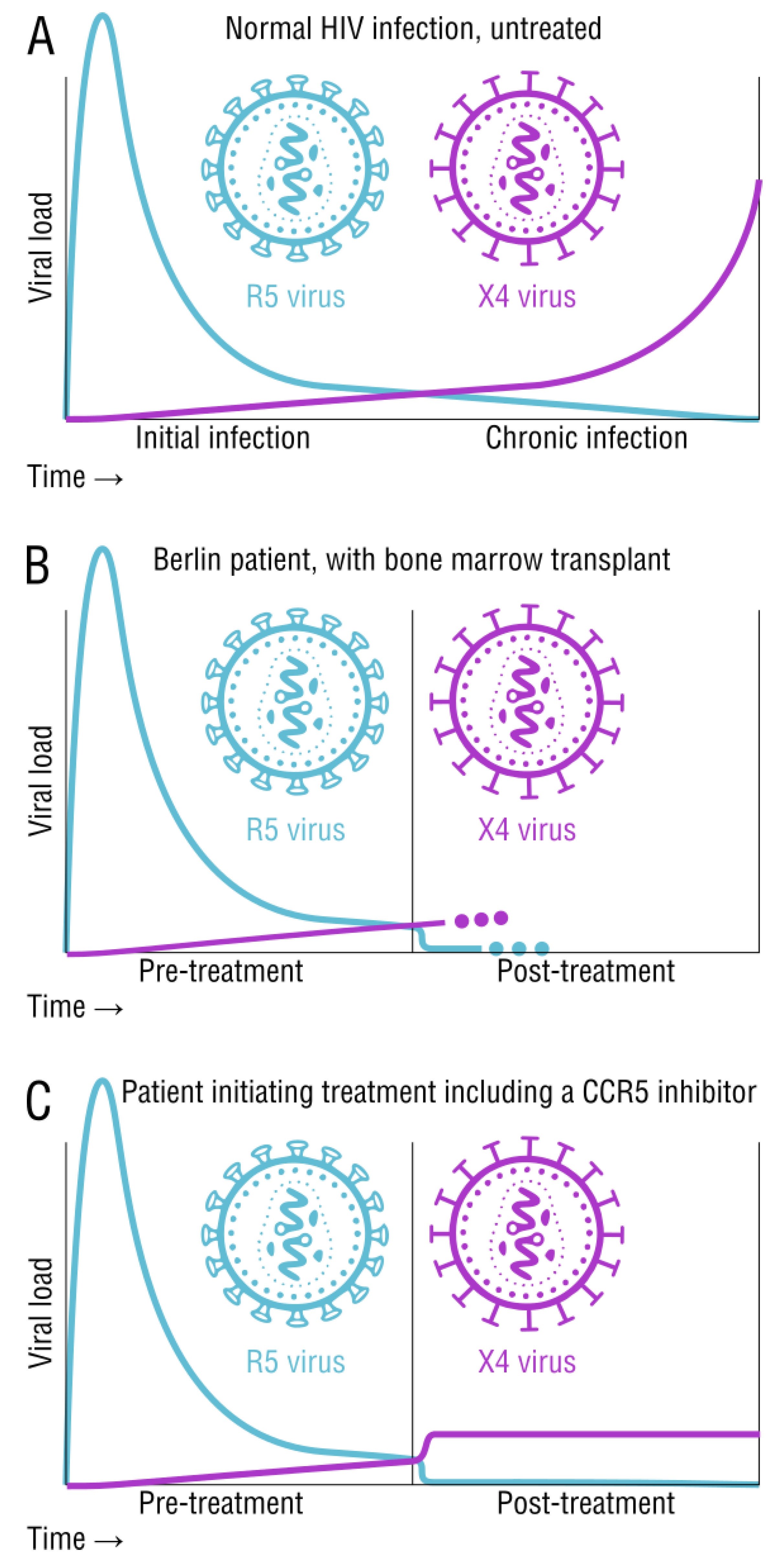 Viruses 15 00107 g002