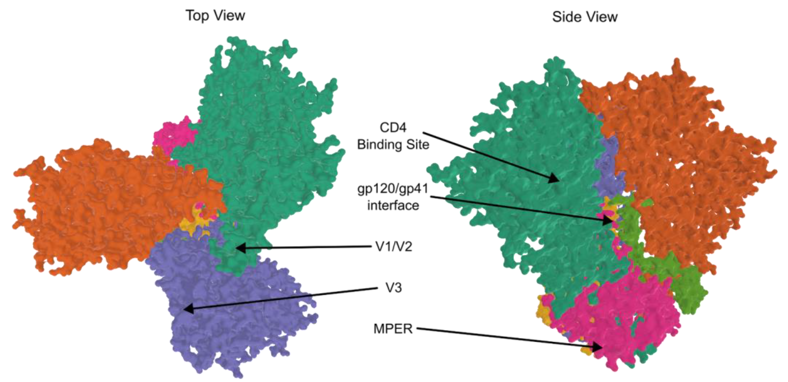 Viruses 15 00107 g003