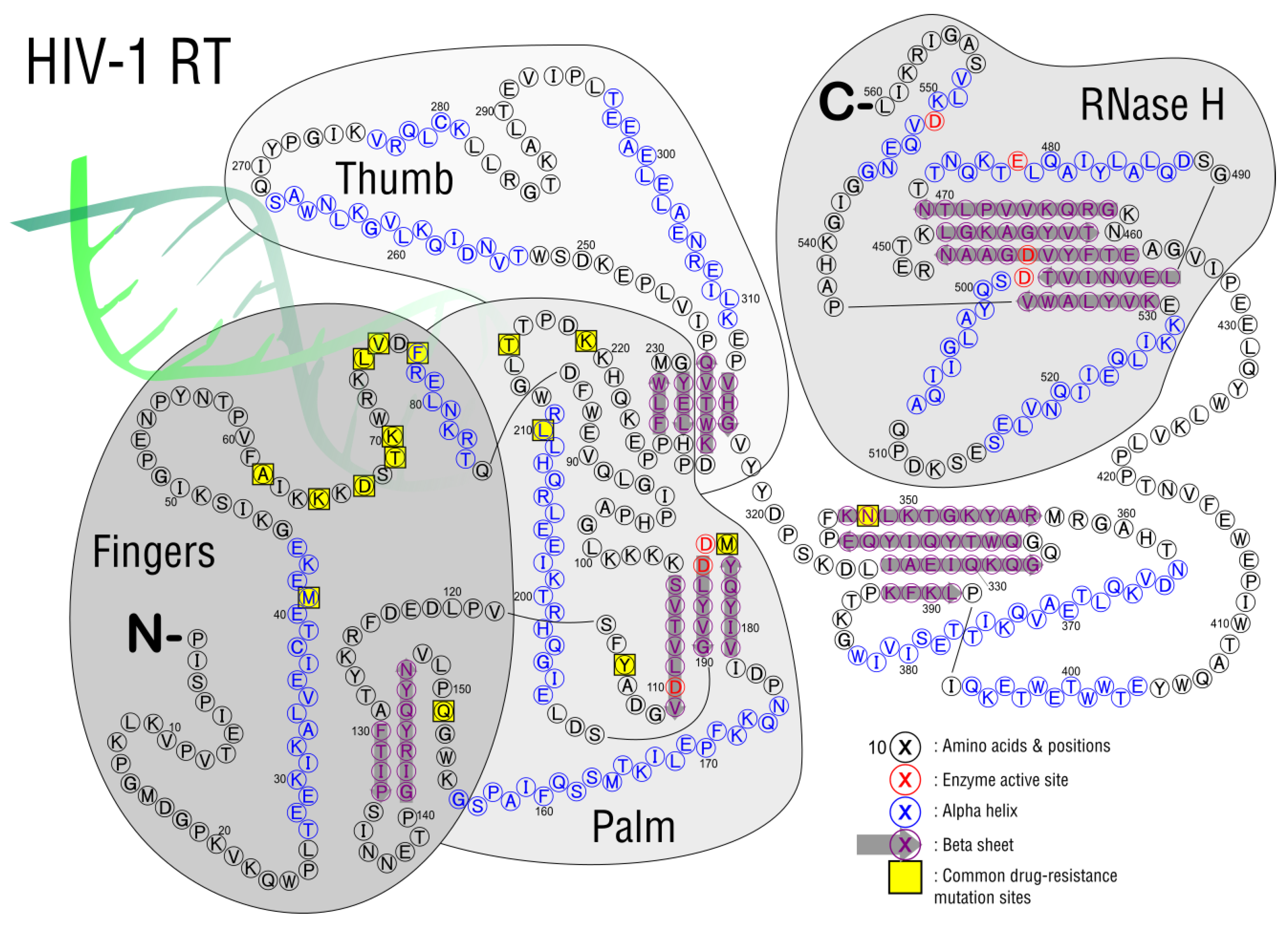 Viruses 15 00107 g007