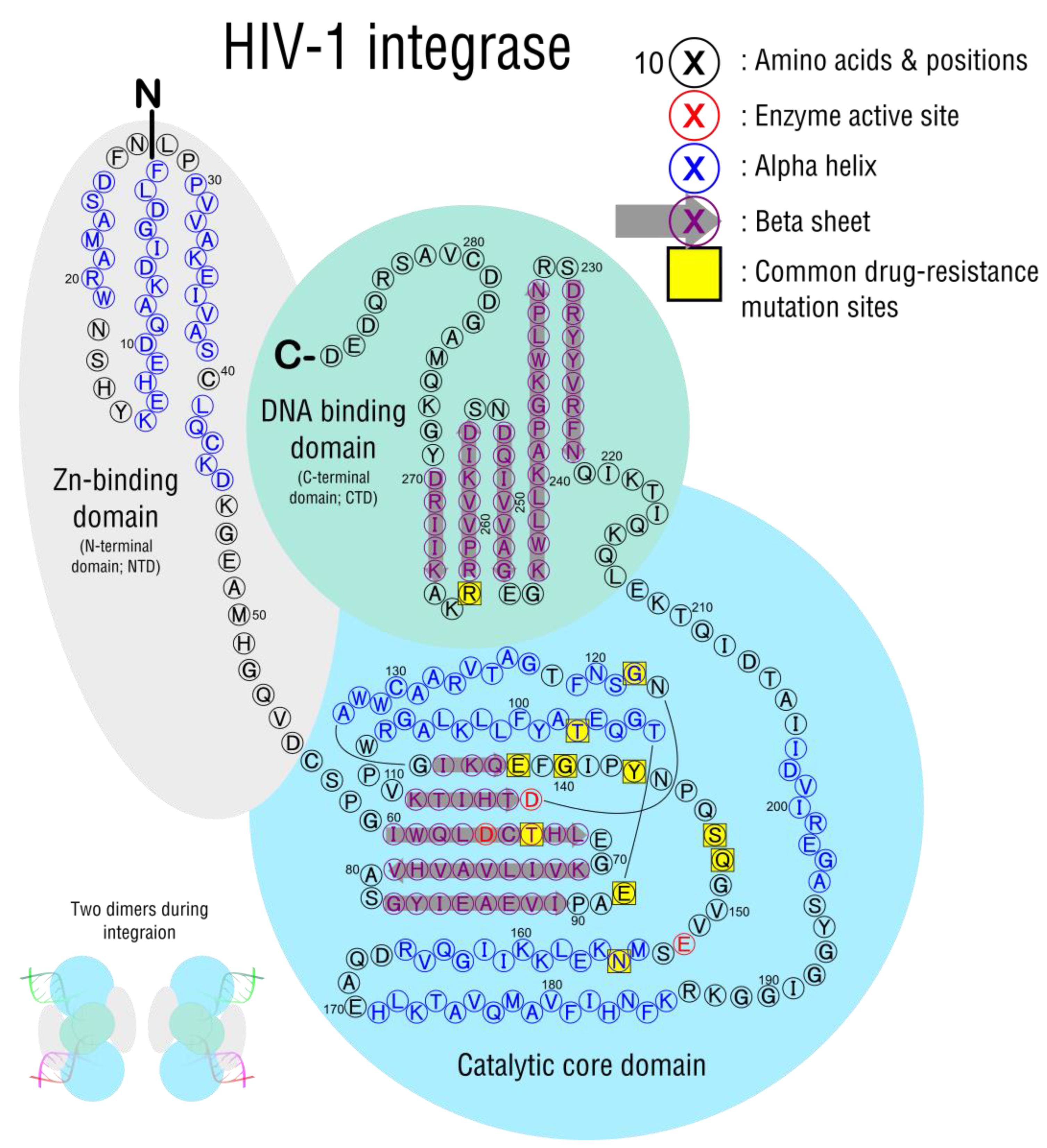 Viruses 15 00107 g009
