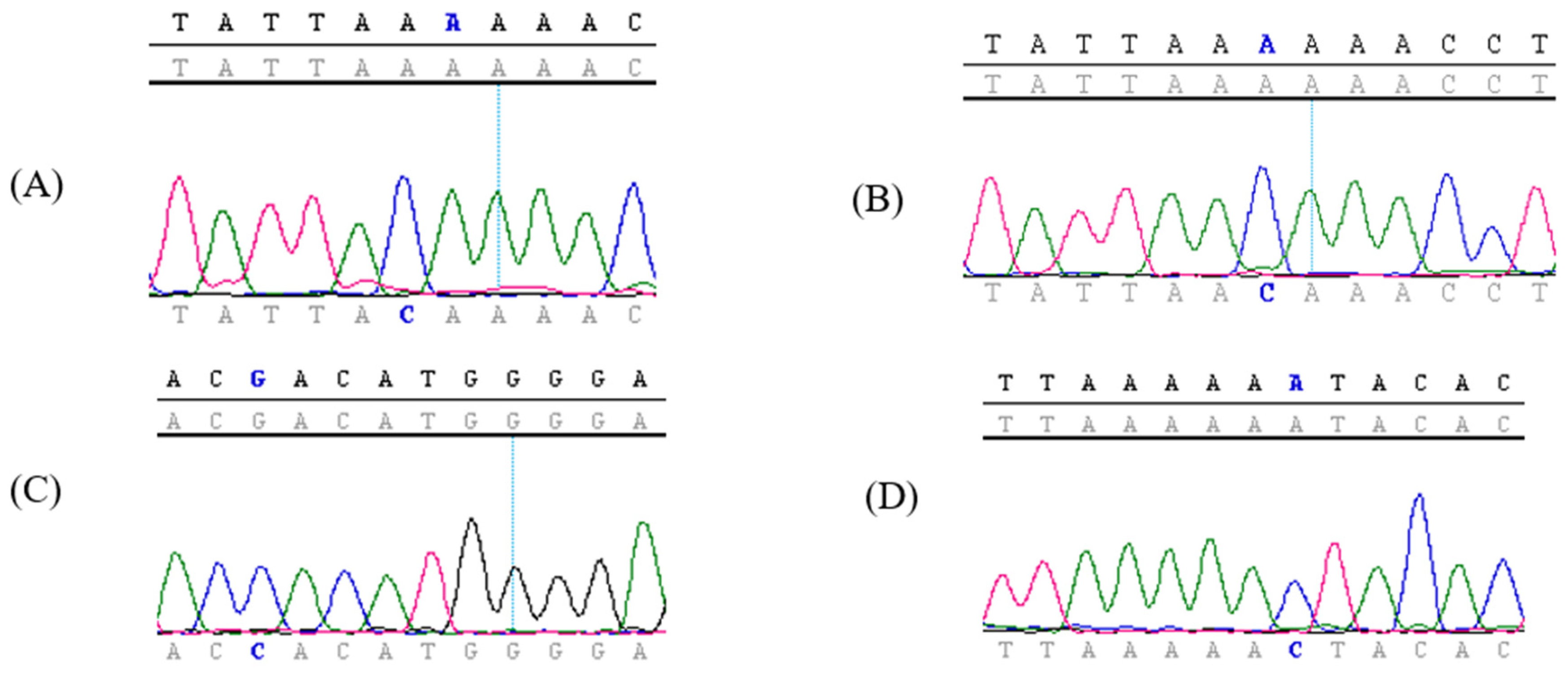 Viruses 15 00109 g002