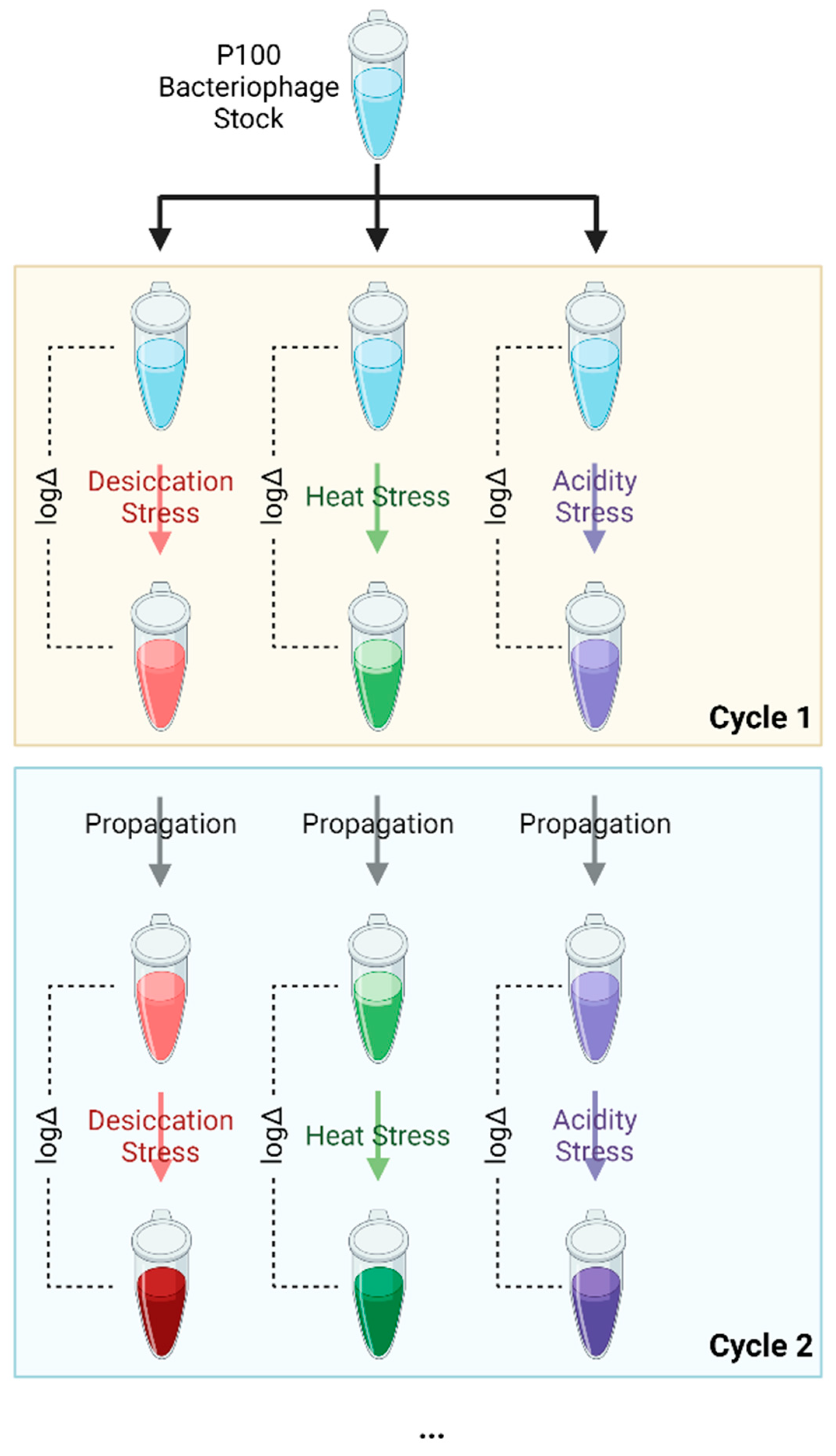 Viruses 15 00113 g001 Viruses 15 00113 g001