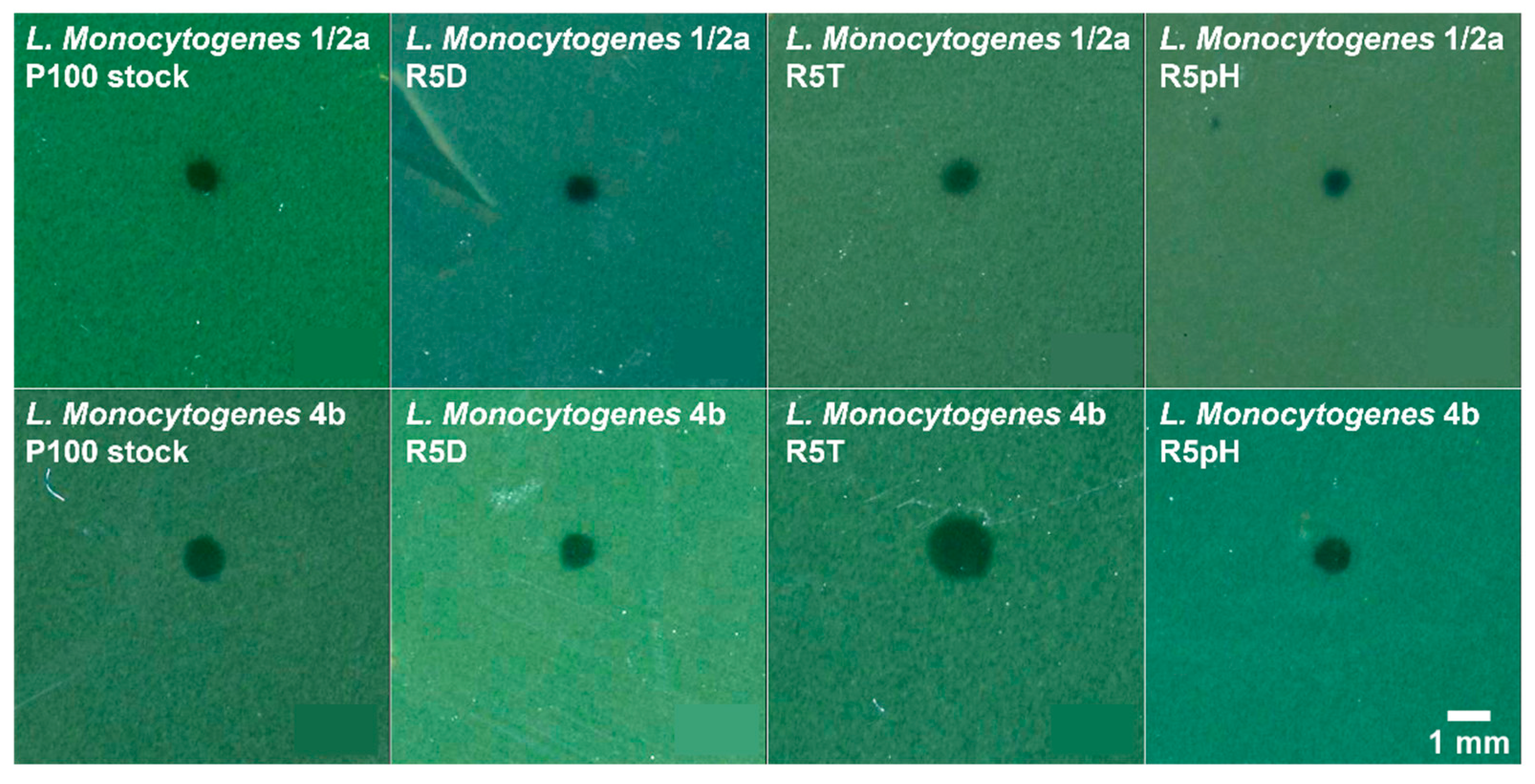 Viruses 15 00113 g004 Viruses 15 00113 g004